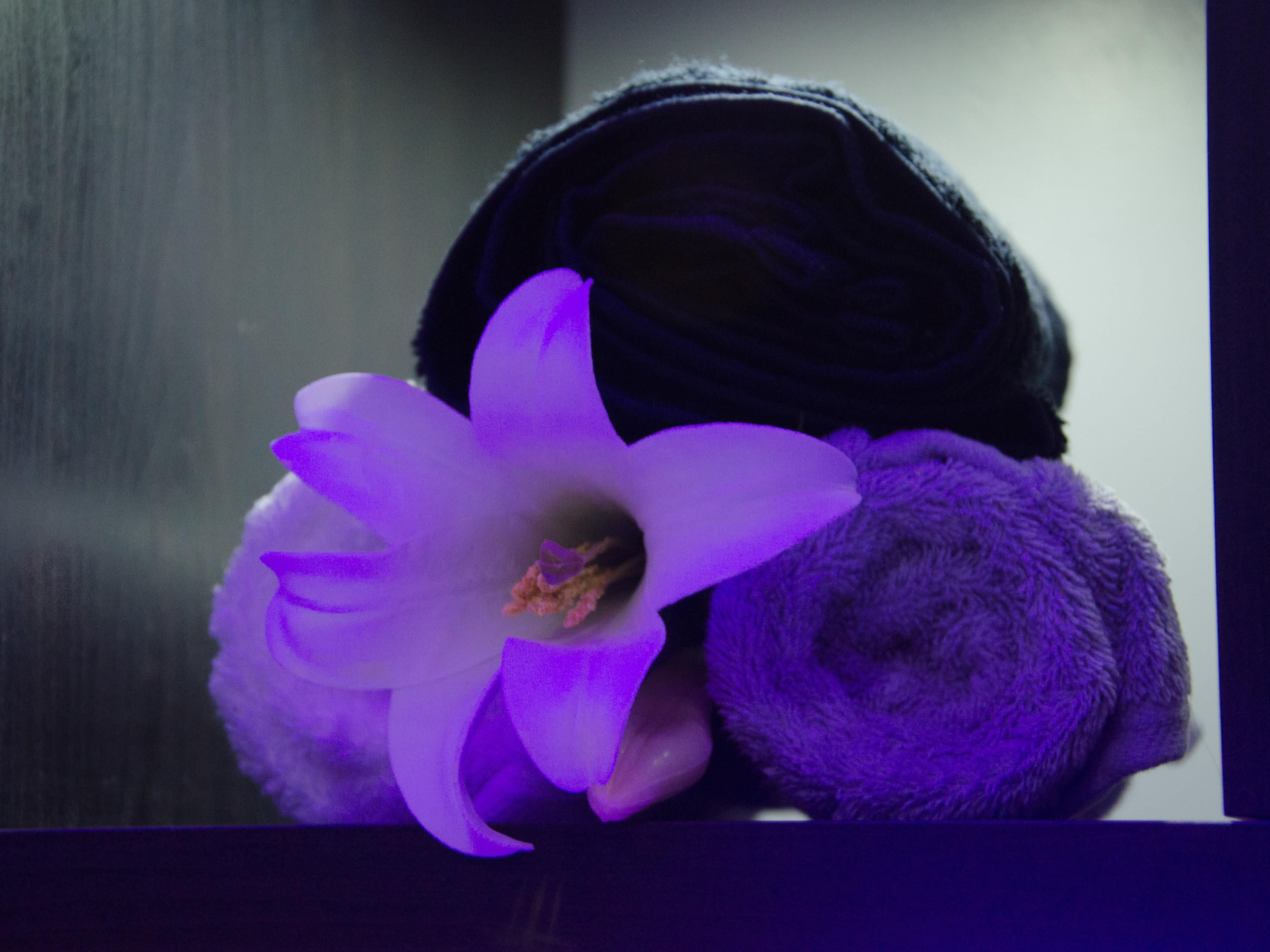 Welcome to Inn Fitness and Spa, a new way to relax and unwind with a range of treatments to cater to your every wish and desire. Overnight breaks and spa days are available. The hotel also has a nail bar. It is recommended to make an appointment before arrival.