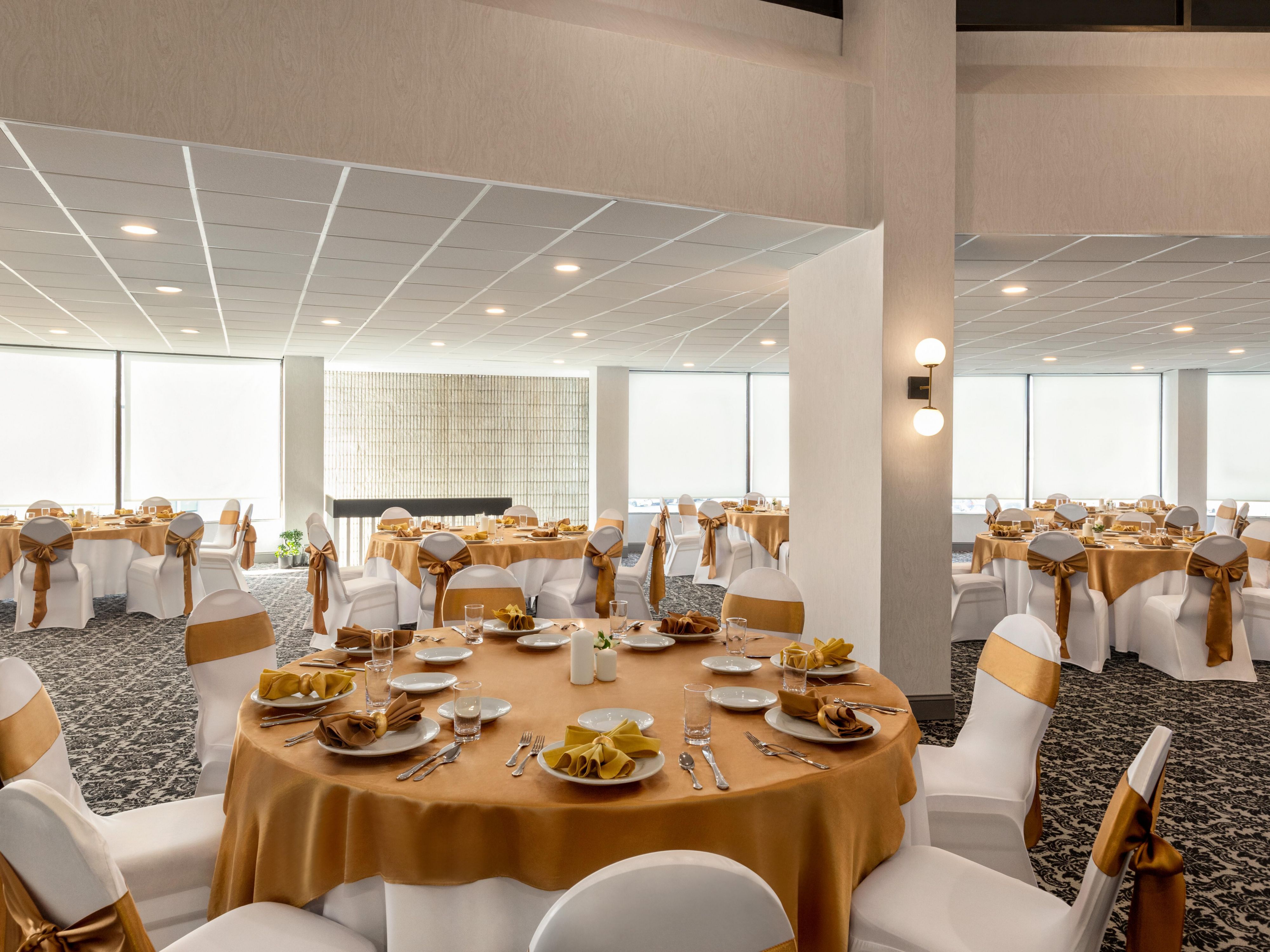 With four spacious event venues at our hotel, you can host an event of any kind. Our elegant ballroom is ideal for seminars, weddings, conferences, and conventions. Our banquet hall is ideal for reunions, social events, and trainings. Host your more intimate events in our two midsize rooms. All venues offer modern A/V equipment and catering.