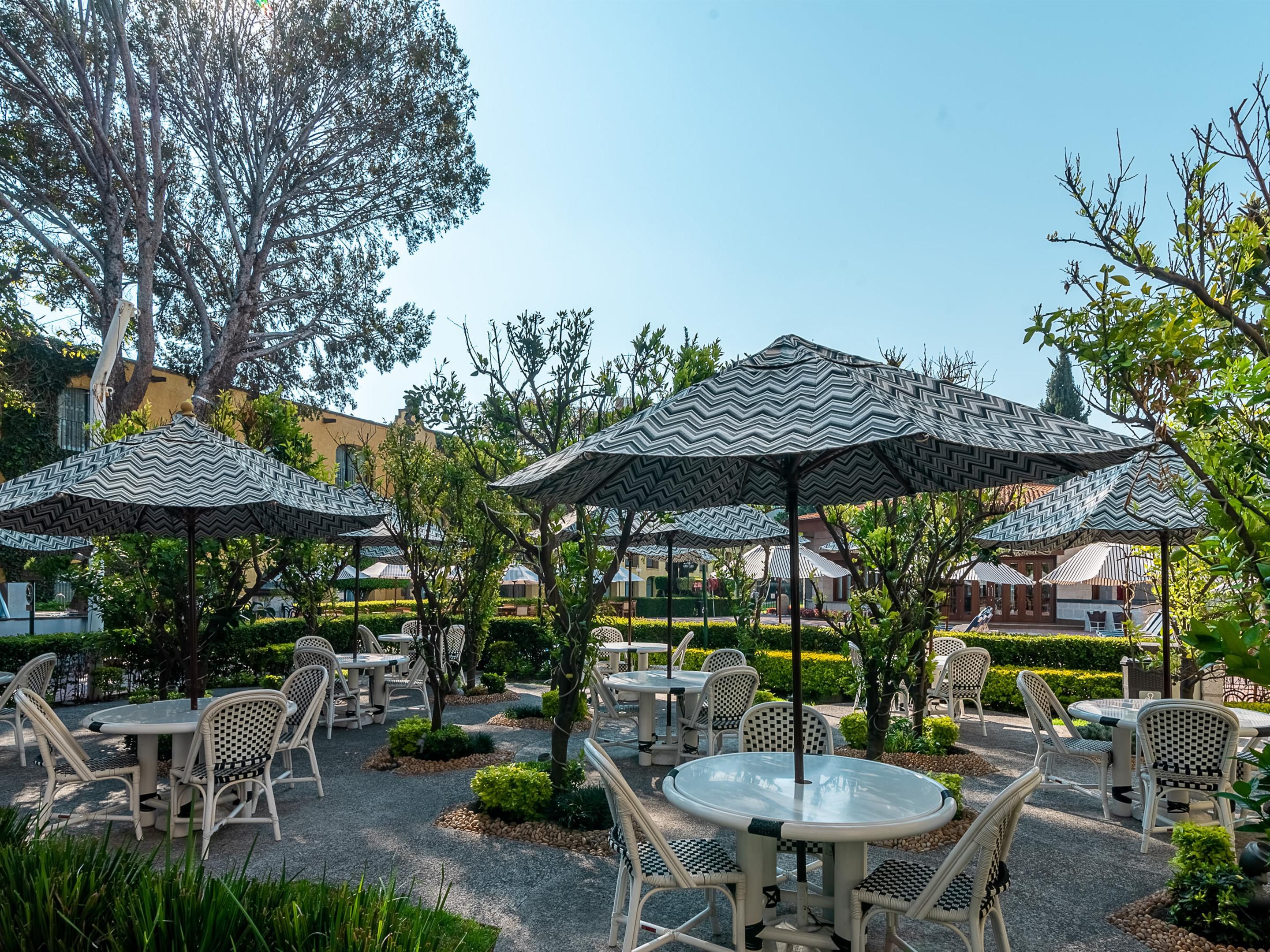 Is a terrace to enjoy nature, sunsets, and the beautiful sky of Queretaro. 
During the afternoon, enjoy a great beef cut or a giant hamburger, and enjoy a great beer variety.
