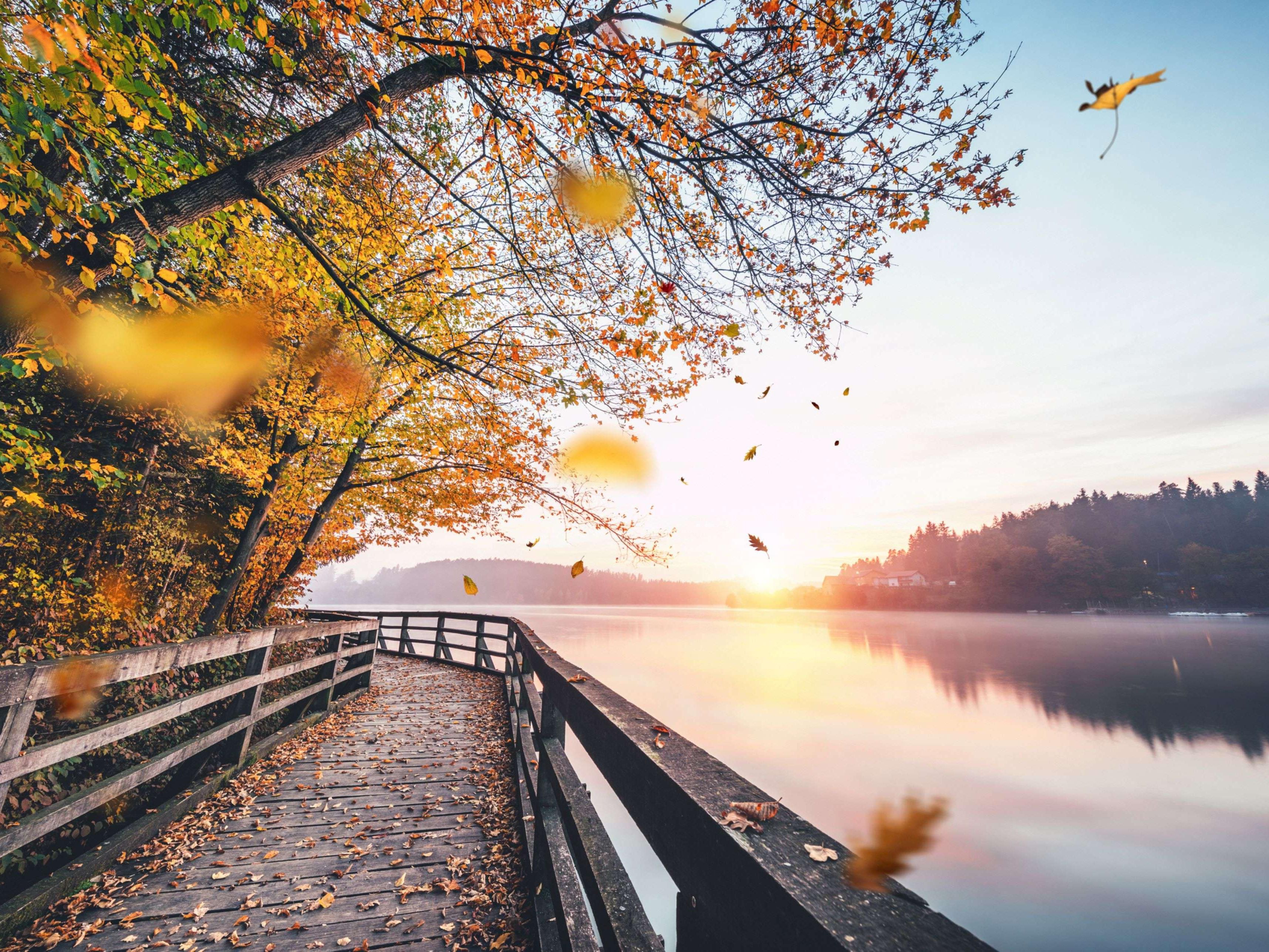 We are located only 20 minutes south of Lake Shasta. Enjoy the lake during the day or take a hike on Mount Shasta and then come back to the comforts of the Holiday Inn Redding. We offer ample parking for your trailer and campers as well.