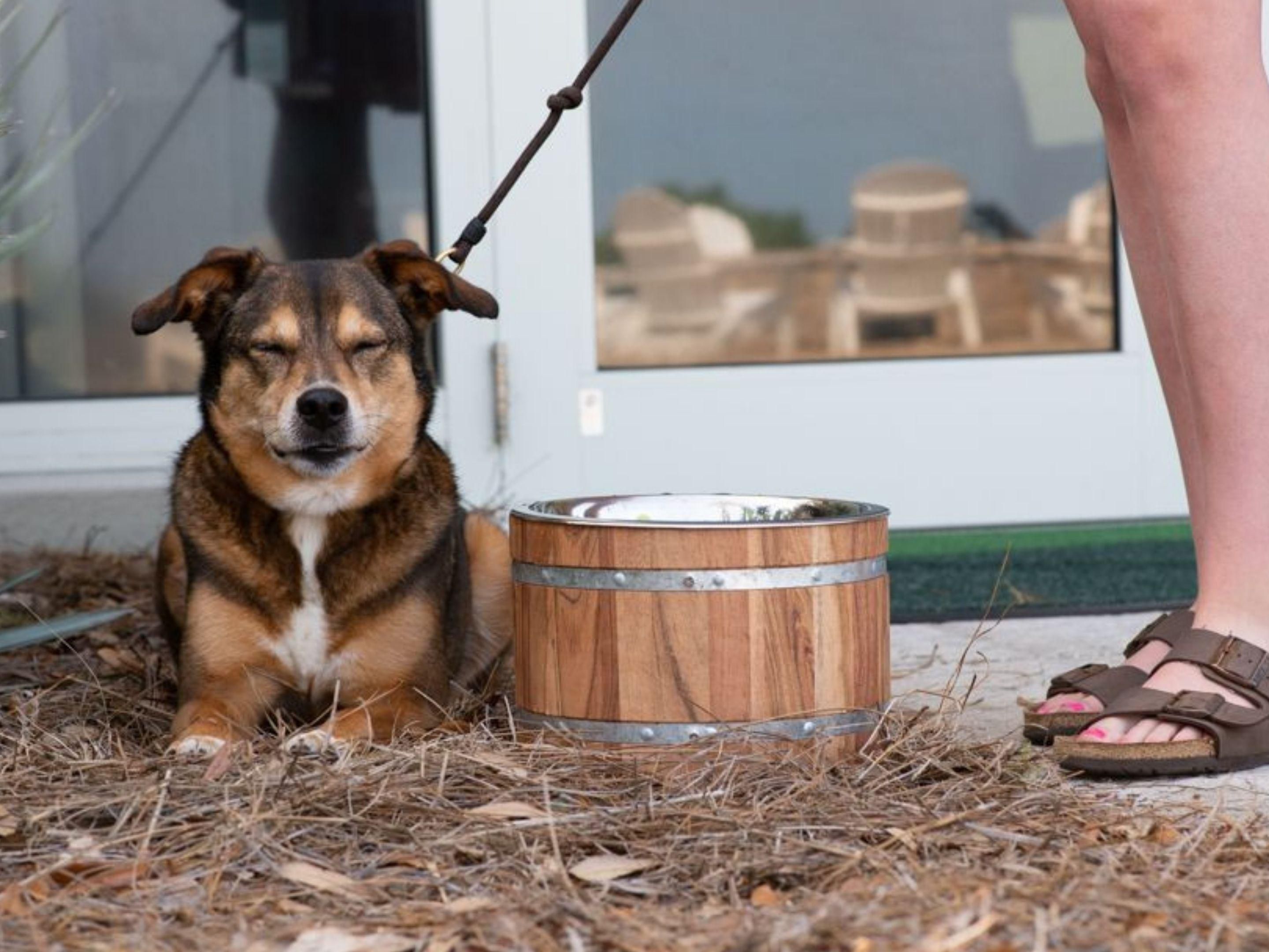 At our resort, “family-friendly” includes your furry friends too! Bring your pets along and let them enjoy our spacious oceanfront lawn and scenic nature trails. With plenty of room to frolic and explore safely, your pets will love their stay just as much as you do.