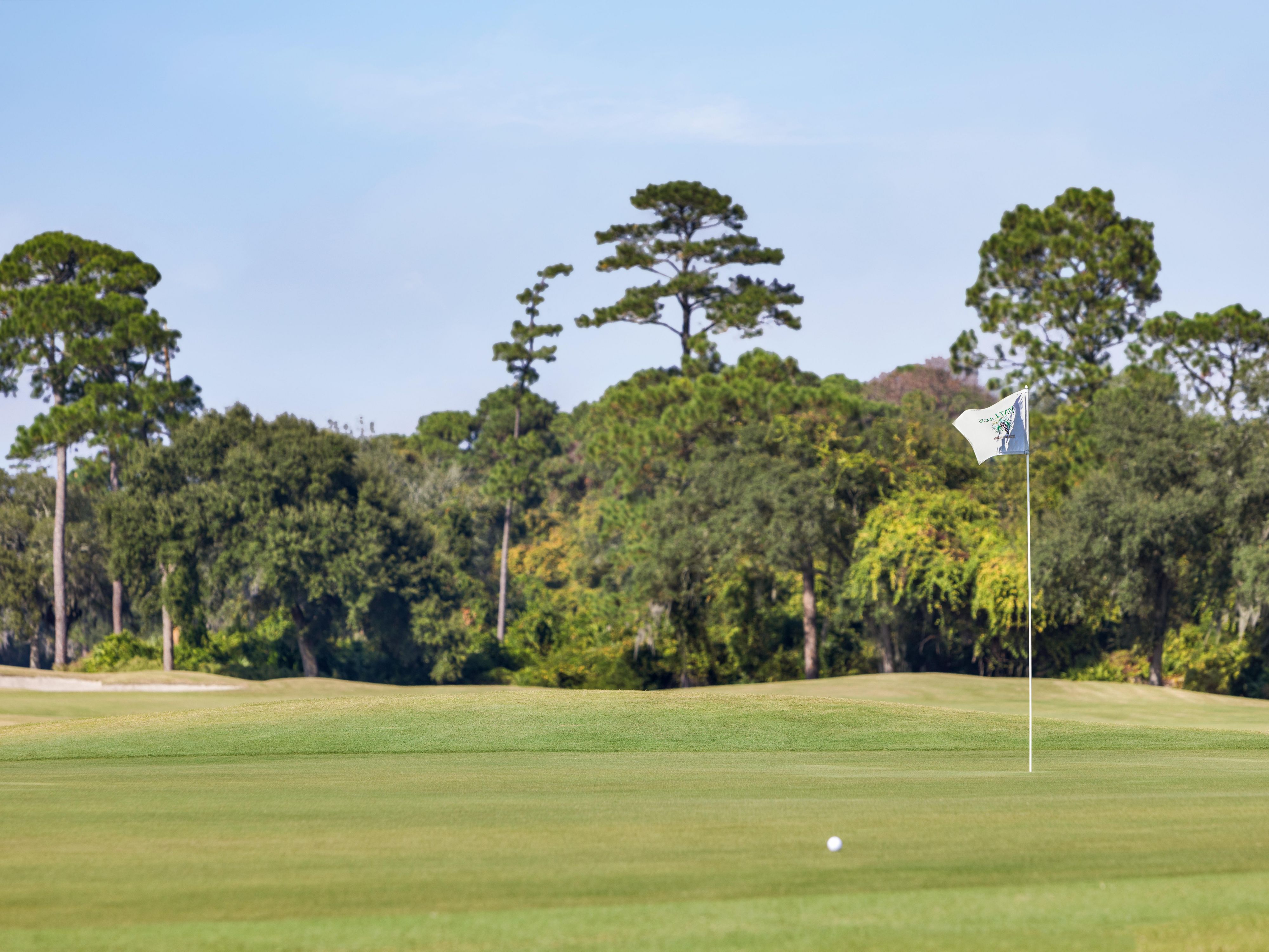 Golf course with golf ball