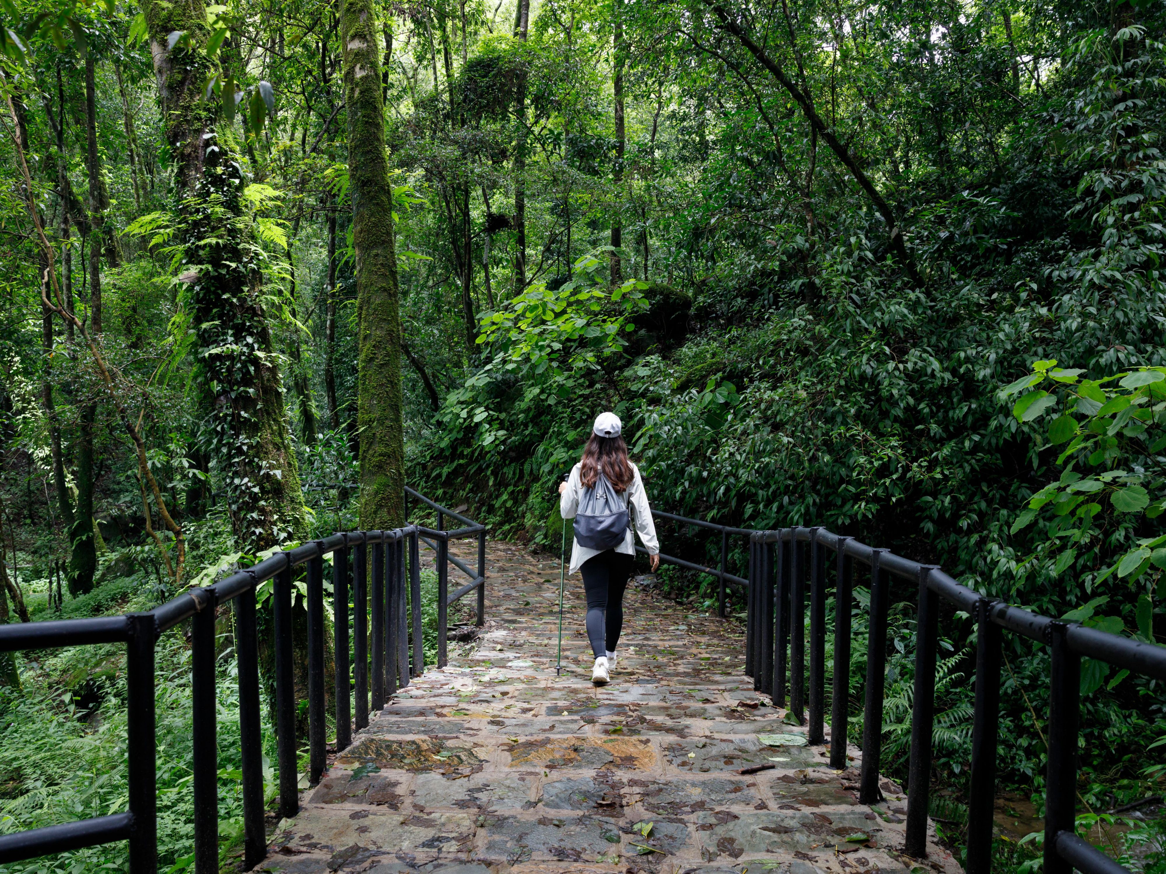 Set out on a guided hike to Shivapuri and enjoy a delicious breakfast and lunch along the way. Perfect for nature lovers seeking a rewarding outdoor experience in Kathmandu.