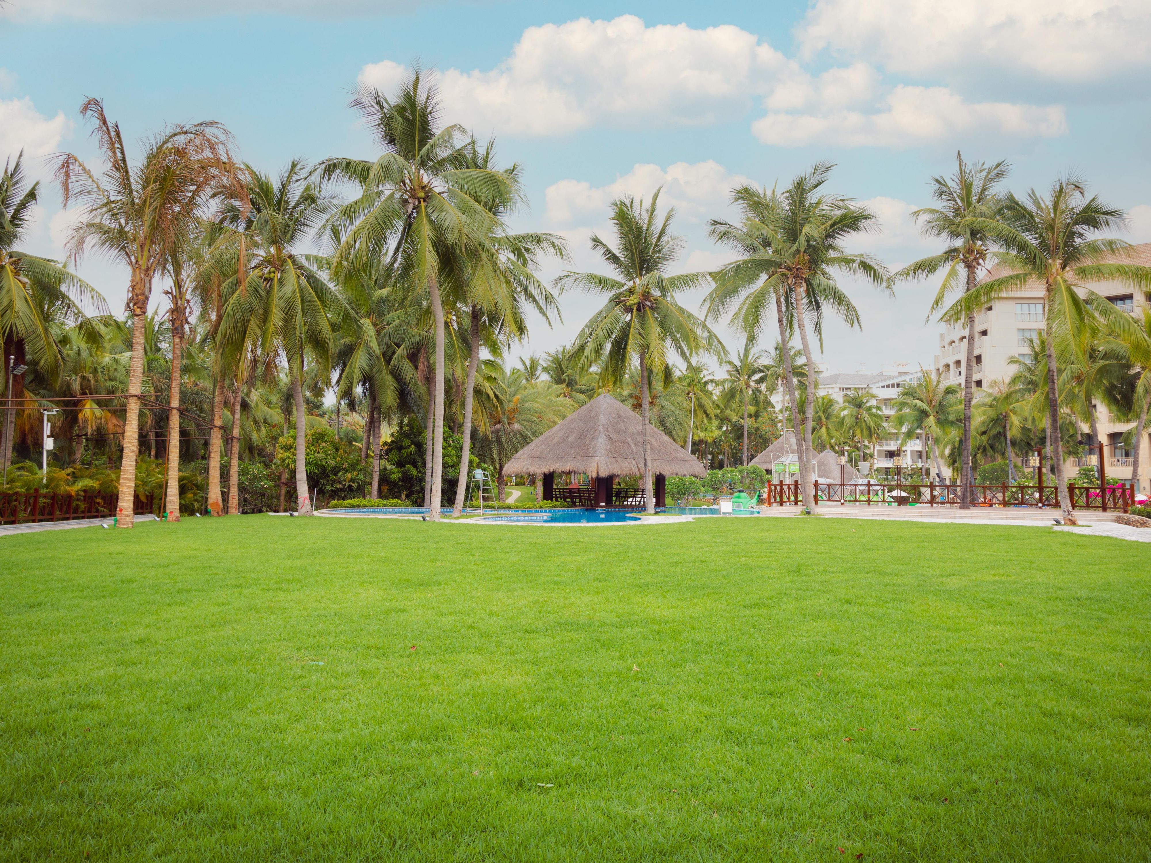1000㎡繁茵草坪，海风微拂，碧海蓝天。是您举办婚礼、鸡尾酒派对或会议的理想场地。宽敞的空间、现代化设施及专业服务团队，确保每个活动顺利且难忘。无论是商务会议还是浪漫婚礼，这里都能提供完美的体验。