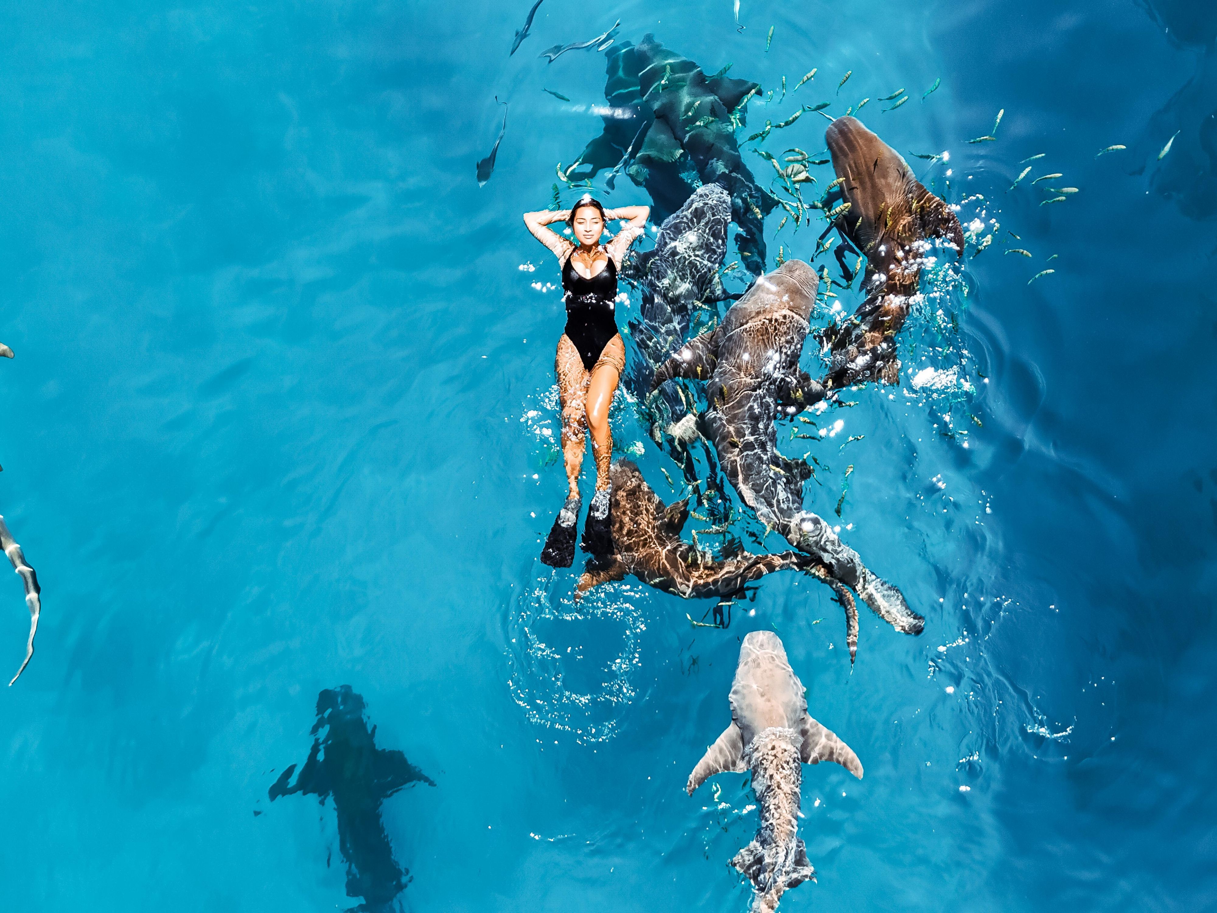 Lady swimming with sharks