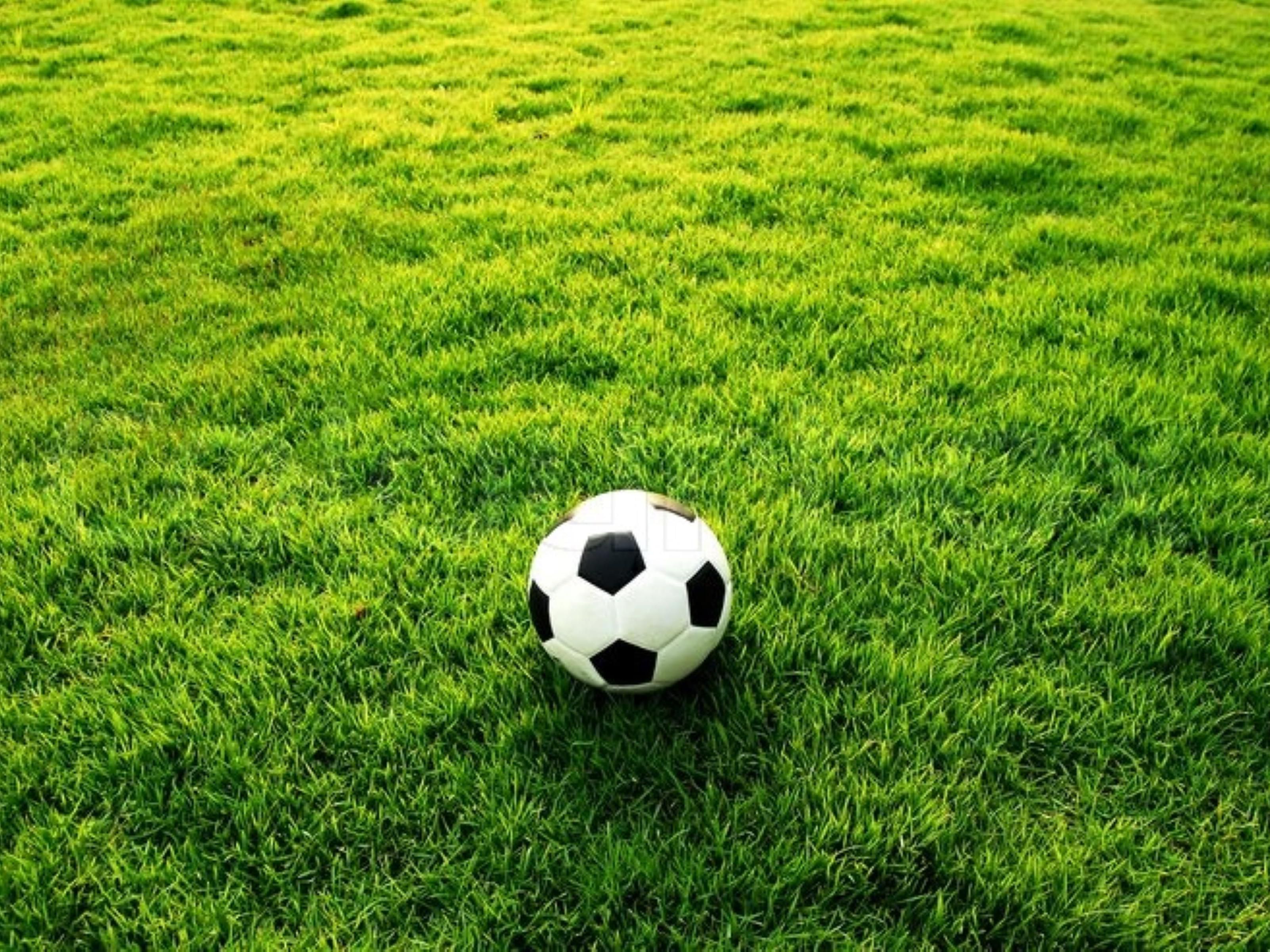 Enjoy the Izdihar football ground full of greenery and re-energize yourself. Start your day with our jogging track. An ideal place for all age groups to burn calories. 
Corporate companies, schools, colleges, sports teams, and football academies can arrange events, tournaments to feel the difference in an open area.