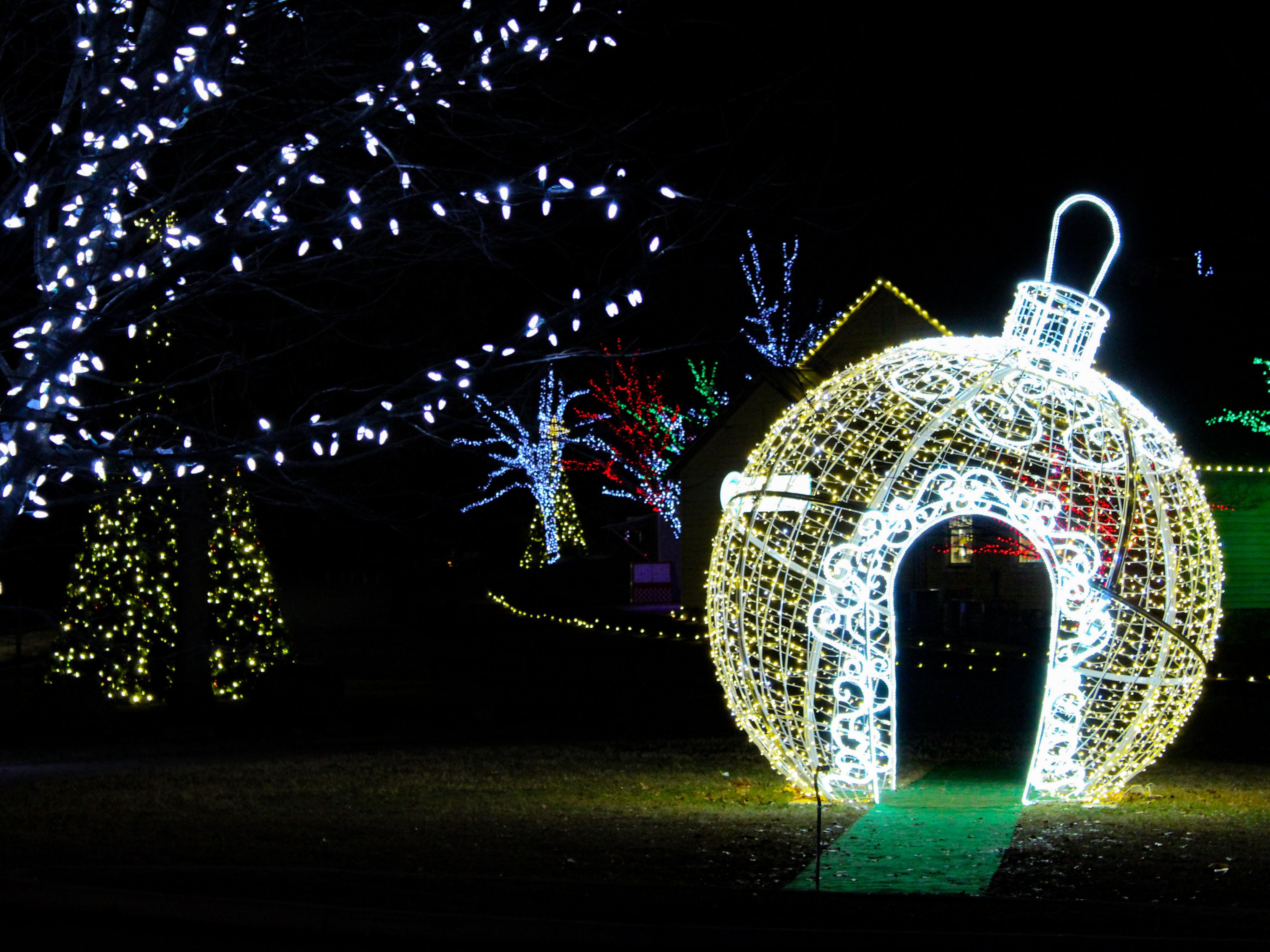 Come for all the festivities and action in Roanoke over the holidays starting with Illuminights and Artisan Christmas Market at Explore Park. Then take in the Holiday Craft Market and skating in downtown Roanoke. Book your room today. 