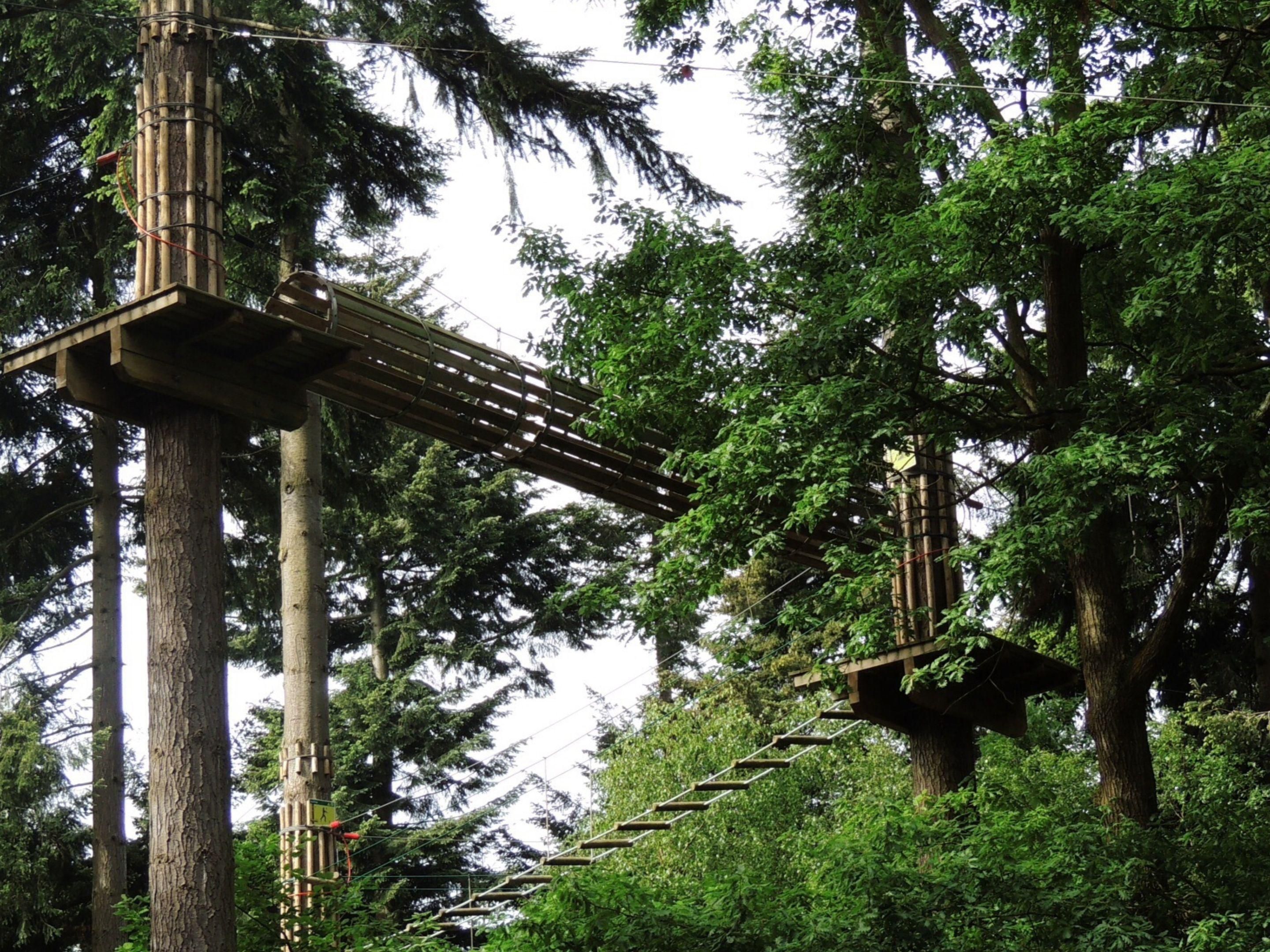 Whether you're seeking family fun at Chester Zoo, a touch of science at Catalyst Discovery Museum, or a thrilling adventure in the Runcorn Ski Centre, we can guarantee you a perfect stay with us. 