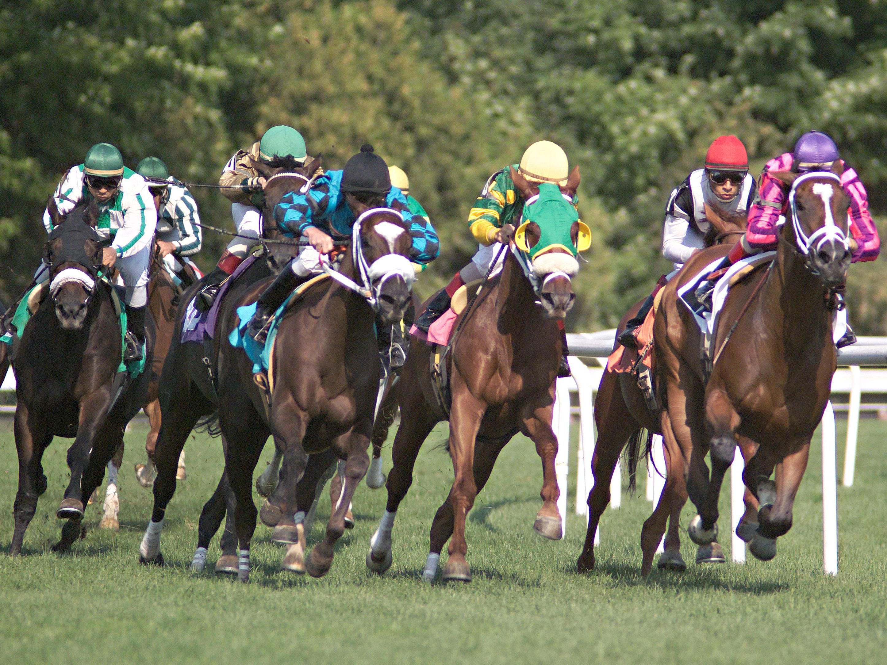 Feel the thrill of Saratoga's legendary horse racing scene! Experience heart-pounding excitement as majestic thoroughbreds thunder down the track at Saratoga Race Course, the epitome of equestrian excellence and a must-visit destination for racing enthusiasts.