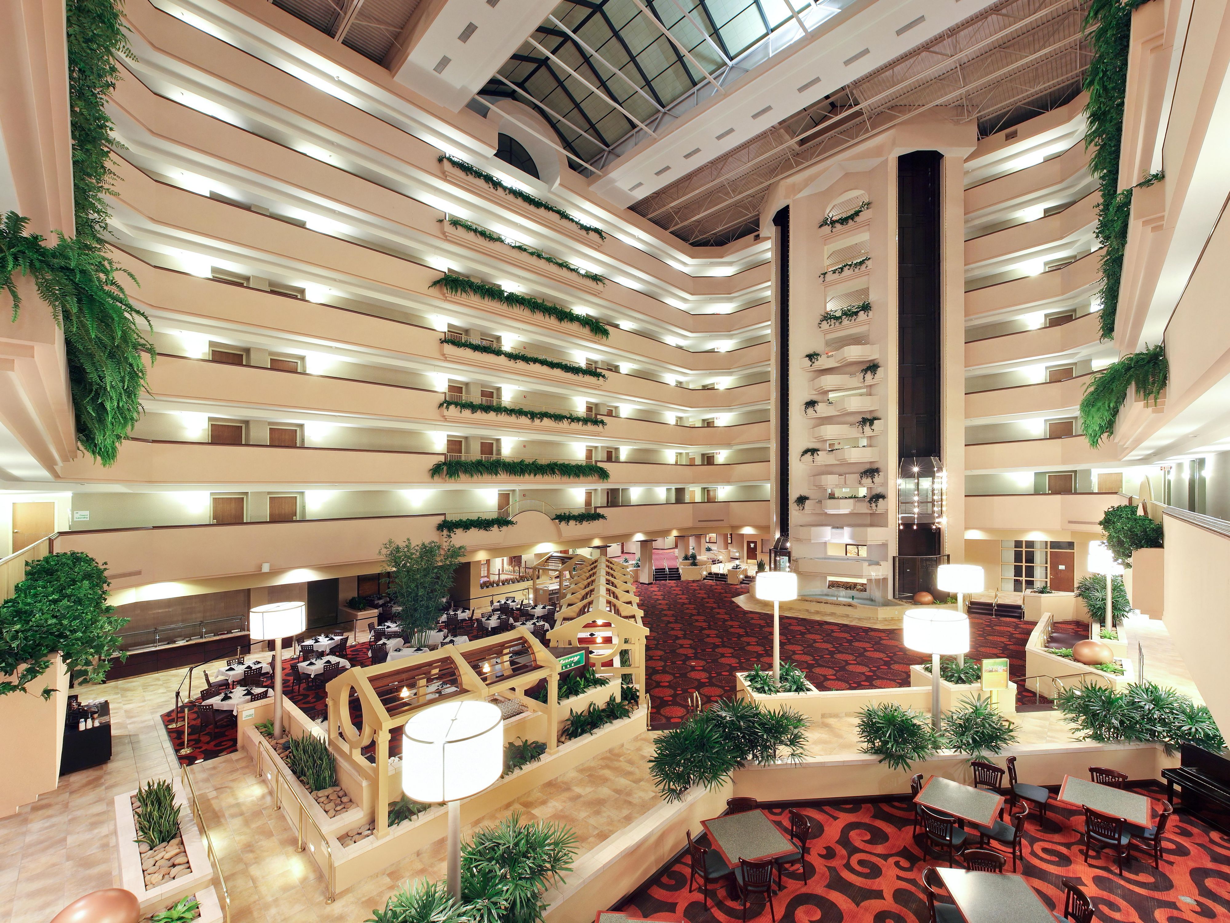 Discover the vibrant heart of our Springdale hotel—our open and airy Atrium. Designed as a place to gather, relax, or socialize, the Atrium features lush greenery, abundant natural light, and stylish seating areas that create an inviting atmosphere. It’s the perfect place to enjoy a morning coffee, connect with colleagues, or plan family adventure.