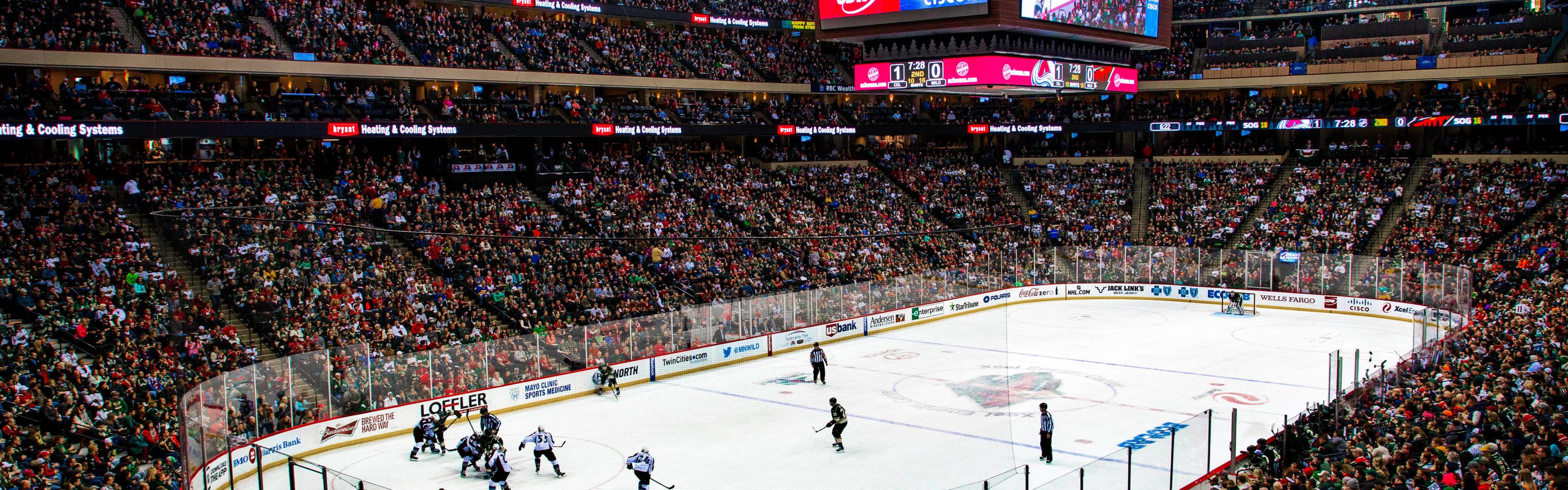 While staying with us, enjoy Minnesota Wild Hockey Game.