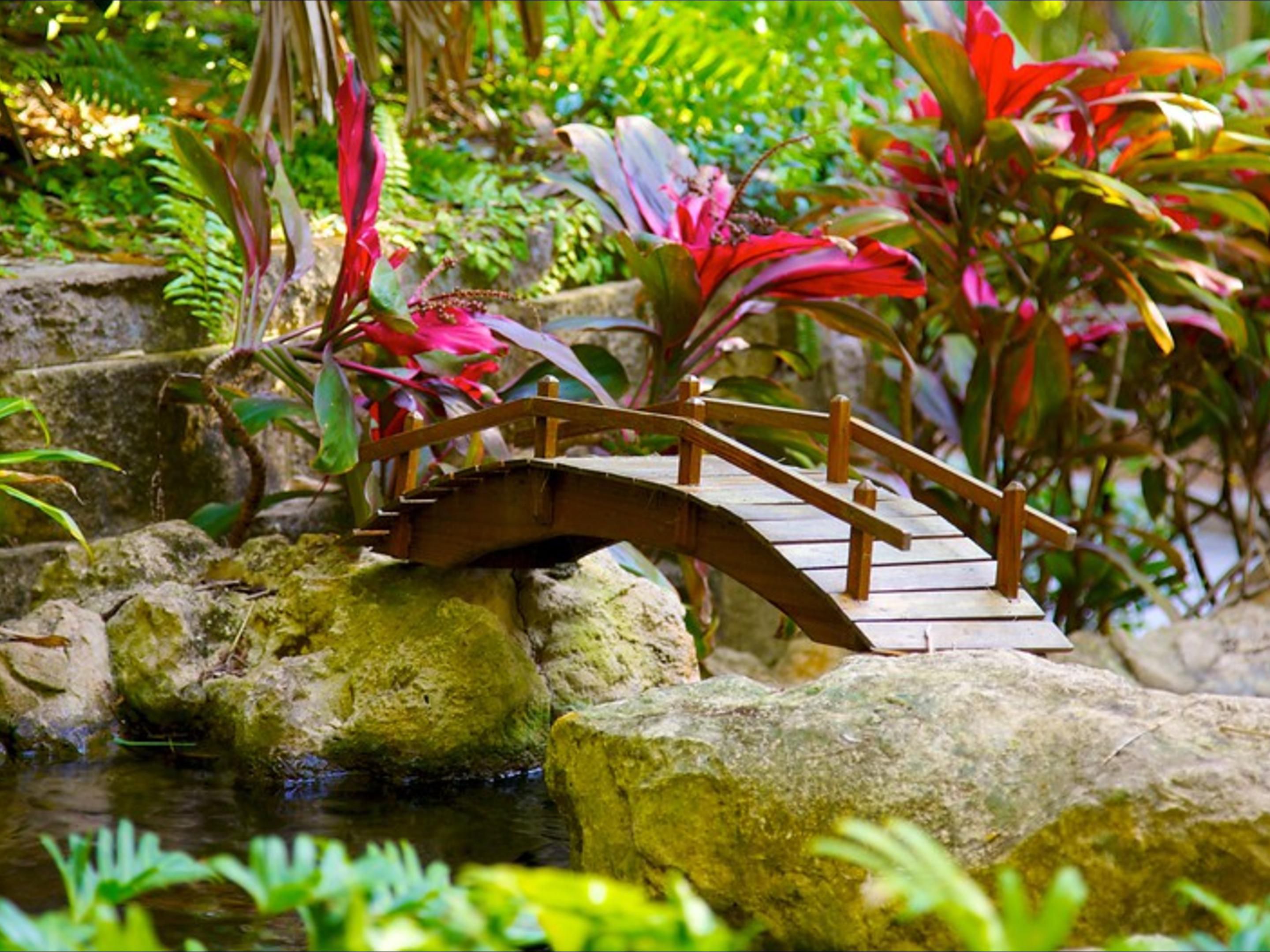 The Sunken Gardens are 4 acres of well-established botanical gardens, located in the Historic Old Northeast neighborhood of St. Petersburg, Florida, at 1825 4th Street North.