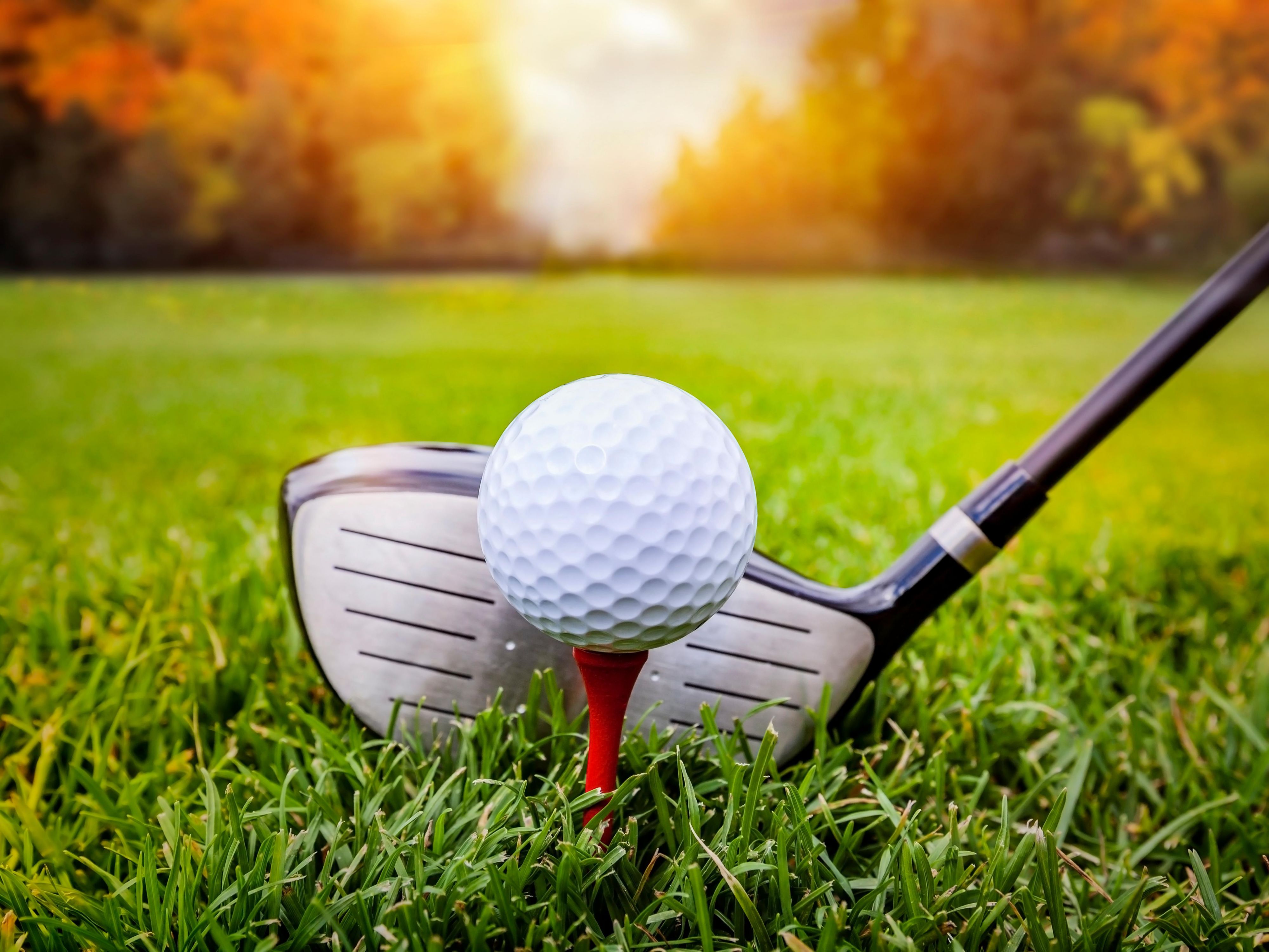 Stay with us and enjoy easy access to two top golf courses in Tallahassee! Just three miles away, Southwood Golf Club features a stunning layout by Fred Couples, while Hilaman Golf Course, only one mile from the hotel, offers a beautiful par 72 course perfect for golfers of all skill levels. Tee off and unwind!