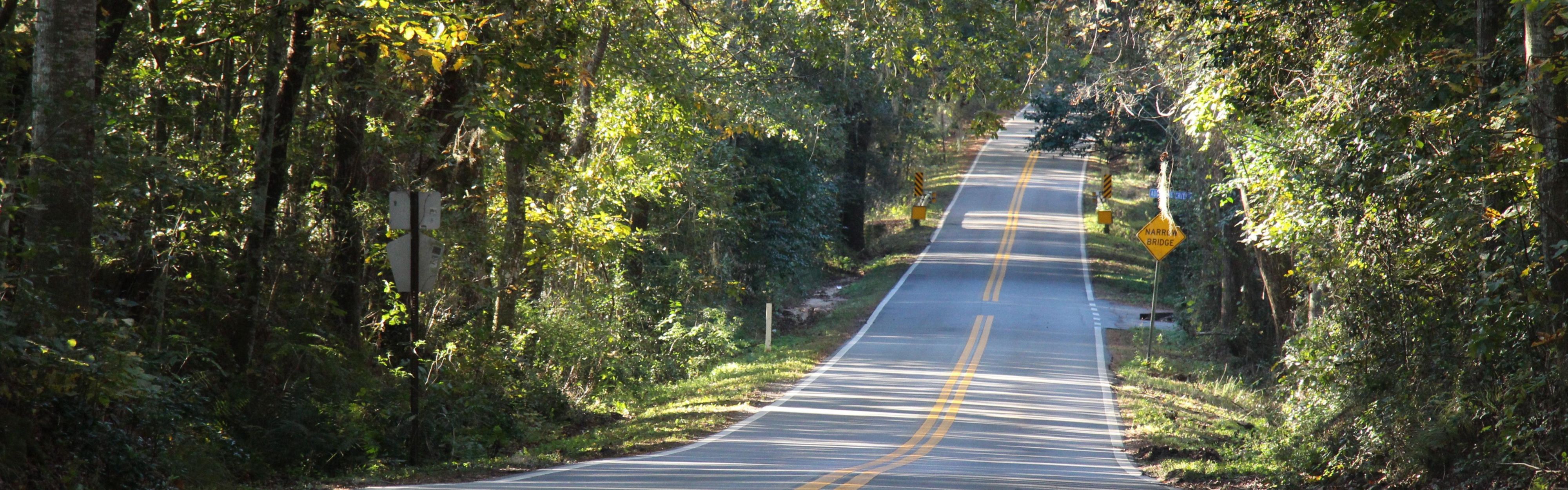Tallahassee is renowned for its beautiful canopy roads.