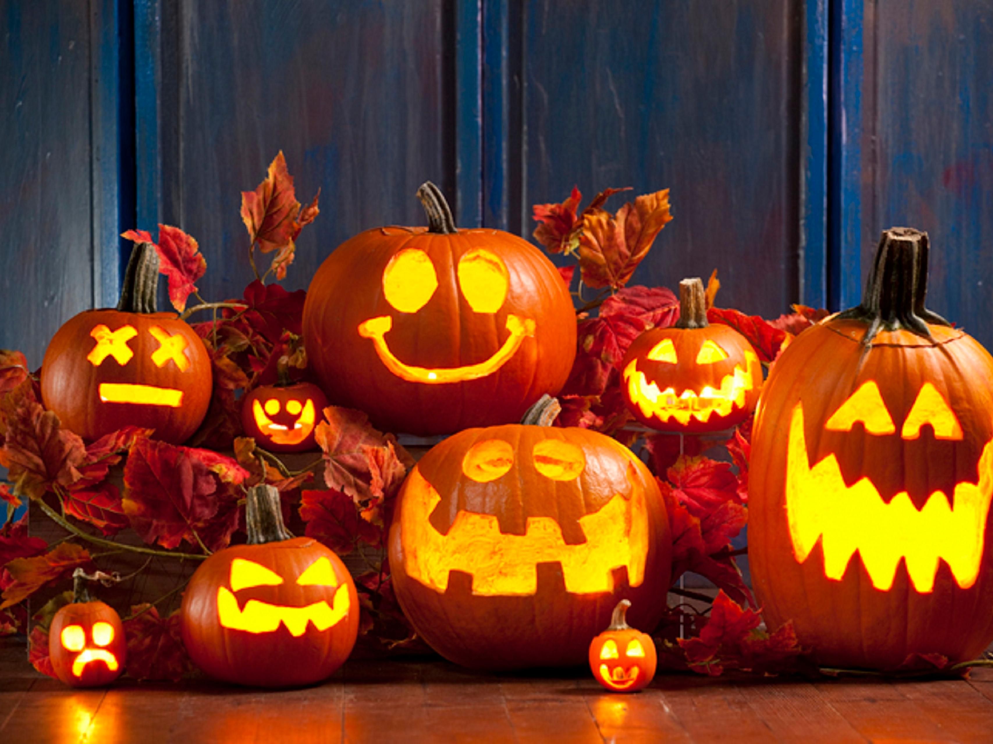 Celebrate the magic of Halloween with us at Holiday Inn Toronto Airport East! With only a 9- minute drive to the enchanting Halloween Nights of Lights Pumpkinville, your perfect getaway awaits. Reserve your room today and experience the festivities!