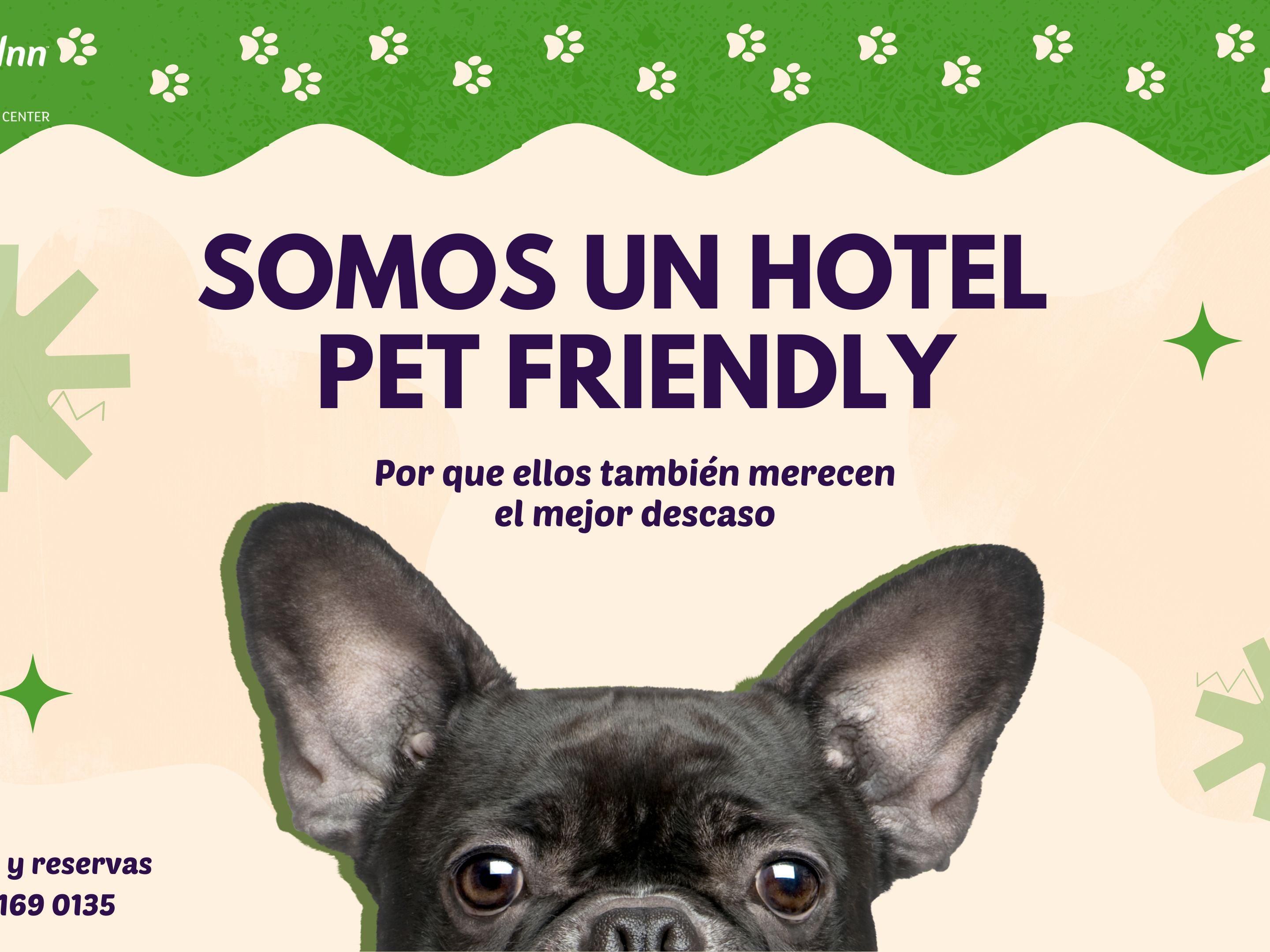 We invite you to enjoy a unique stay, where your pet is more than welcome! We have special areas for them, so both you and your furry companion feel comfortable and happy. Come and relax in a pet-friendly environment, designed to provide an unforgettable experience.