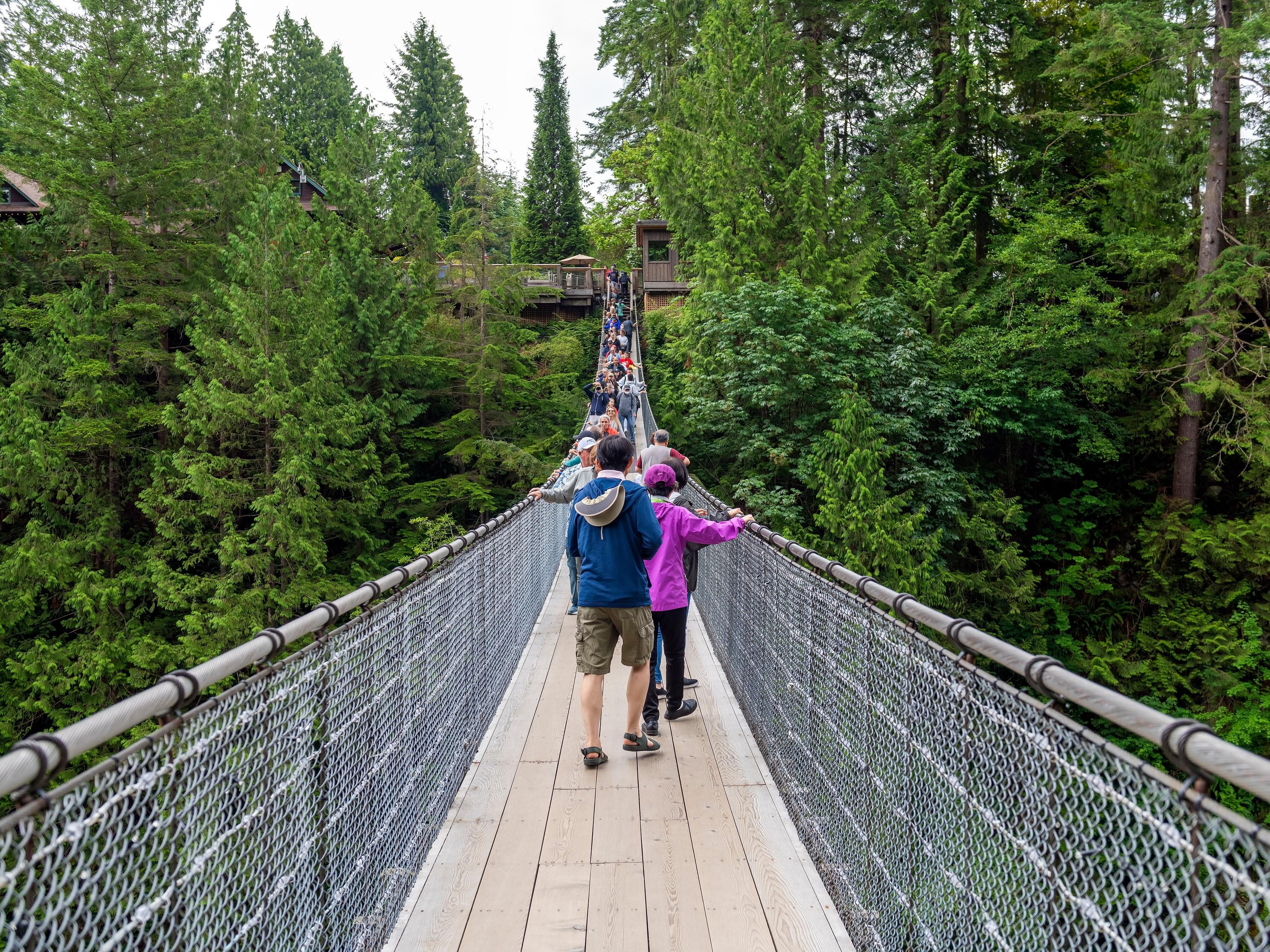 Discover family fun in Vancouver! From scenic parks and beaches to hands-on museums, aquariums, and kid-friendly attractions, there’s something for family. Explore Stanley Park, visit Science World, or bike the seawall—most just a short drive away from our hotel. Vancouver is the perfect place for unforgettable family adventures.