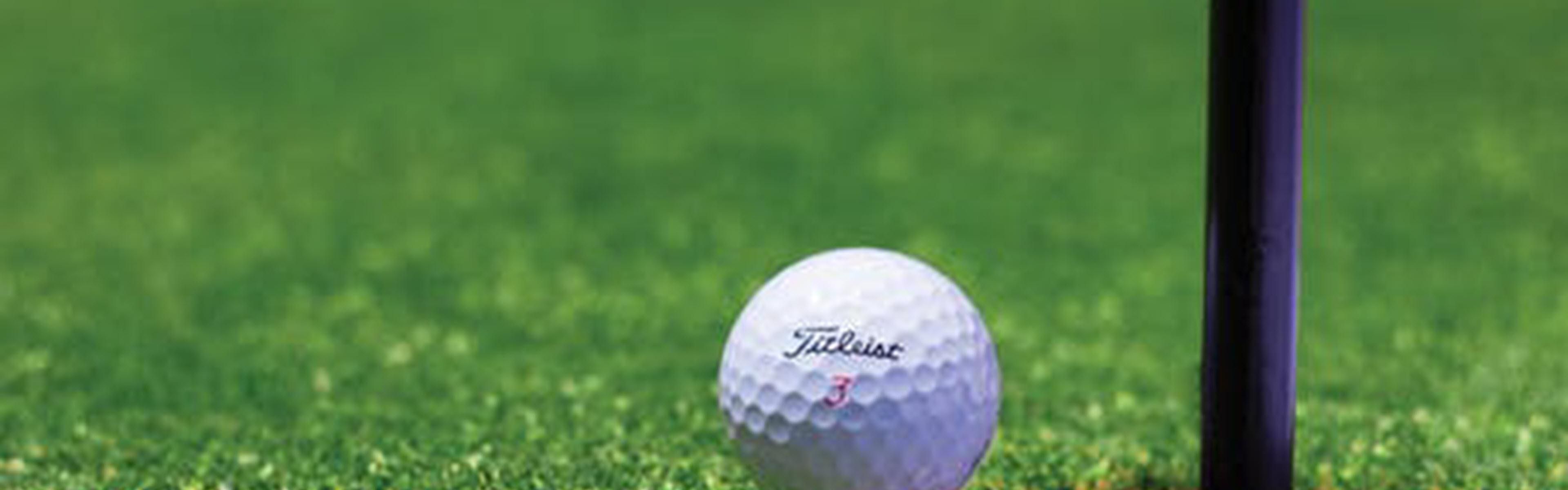 Holiday Inn Virginia Beach - Norfolk near TopGolf