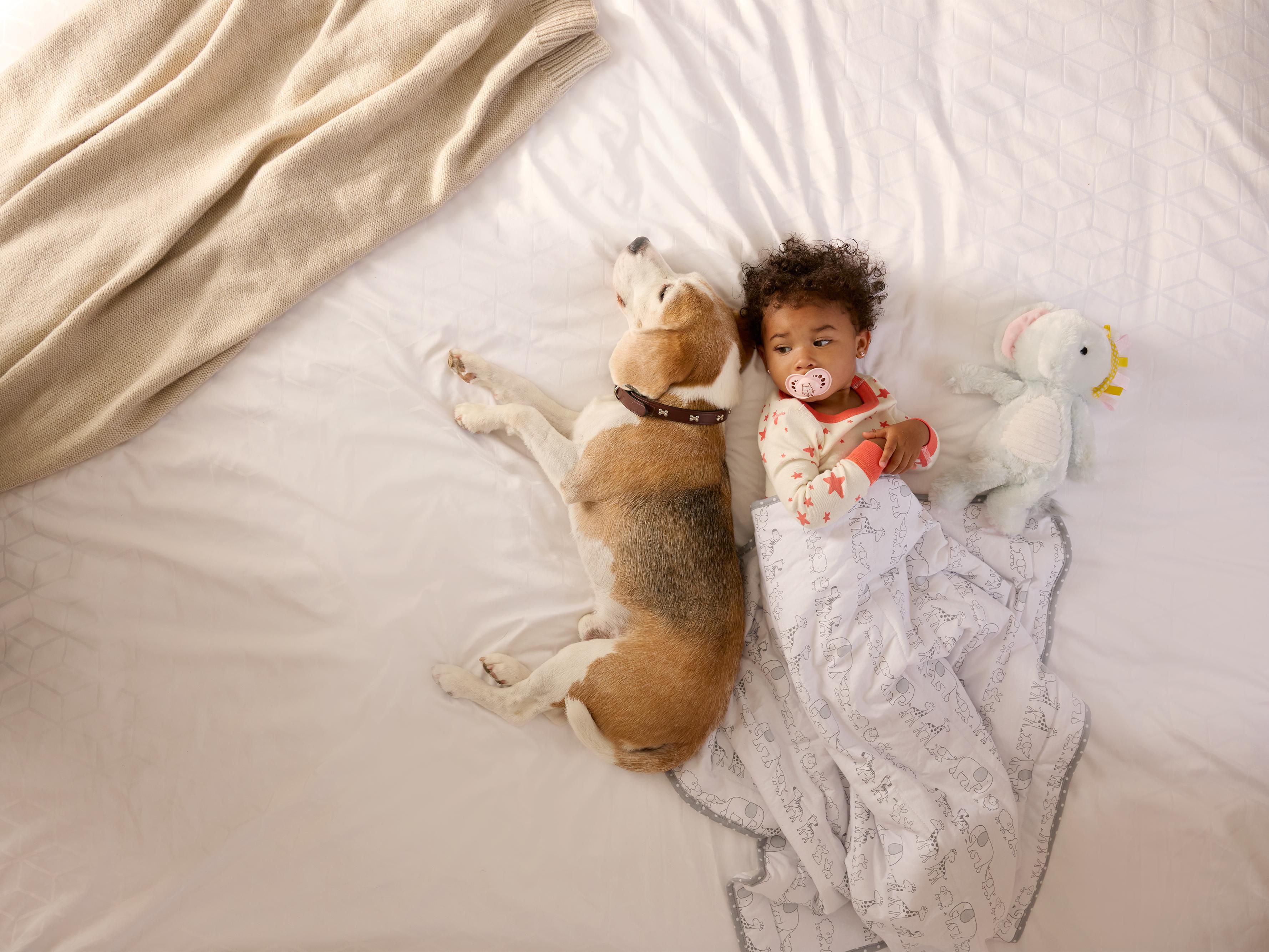 Whether going just the two of you or with the whole family pack, the Holiday Inn Wilmington is excited to accommodate your pet dogs (sadly, just dogs) below a 25-pound weight limit! Enjoy all our hotel has to offer with people’s best friend at a small fee, per pet. We’d be happy to answer any questions you might have relating to your furry friends.