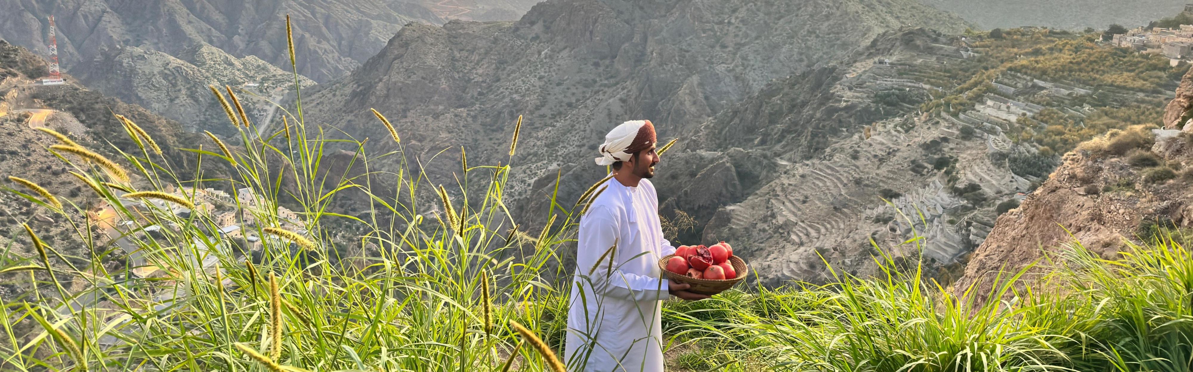Jabal Akhdar guide shares the beauty of pomegranate fields