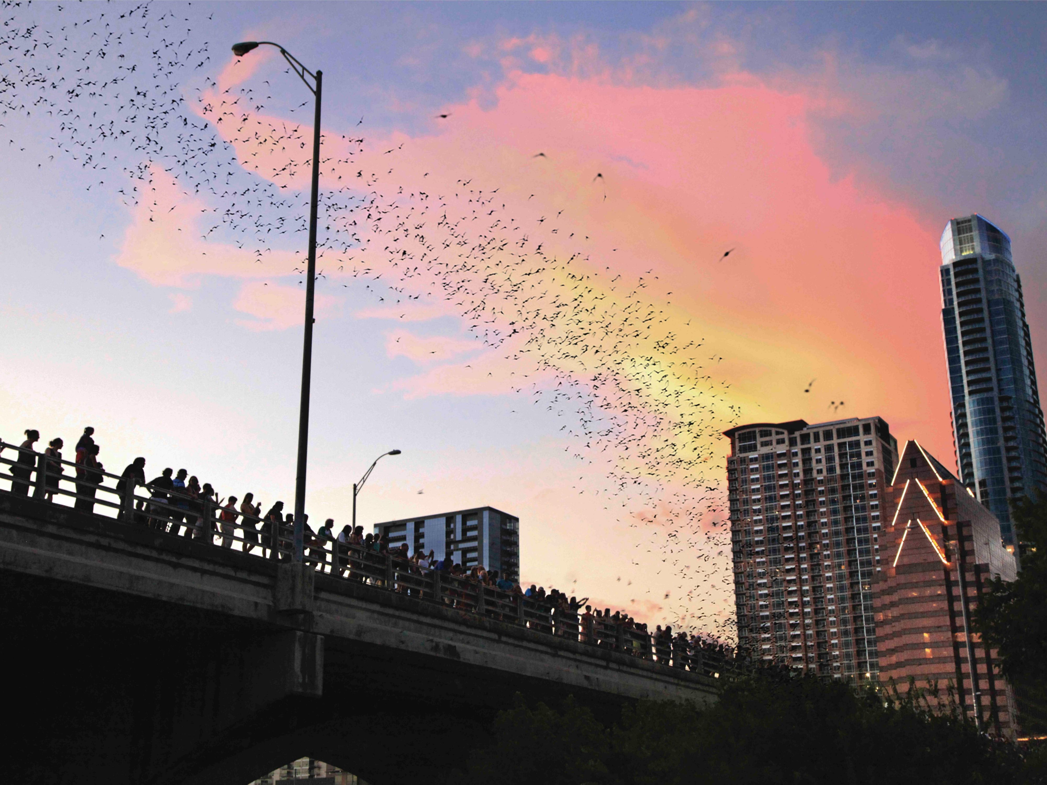 From mural-covered streets to iconic stages, we’re surrounded by everything that makes Austin tick. Just blocks from UT Austin, the Texas Capitol, and 6th Street's iconic nightlife, plus the Austin Convention Center and Red River's vibrant scene, our hotel keeps you close to the city’s biggest moments and its best-kept secrets.