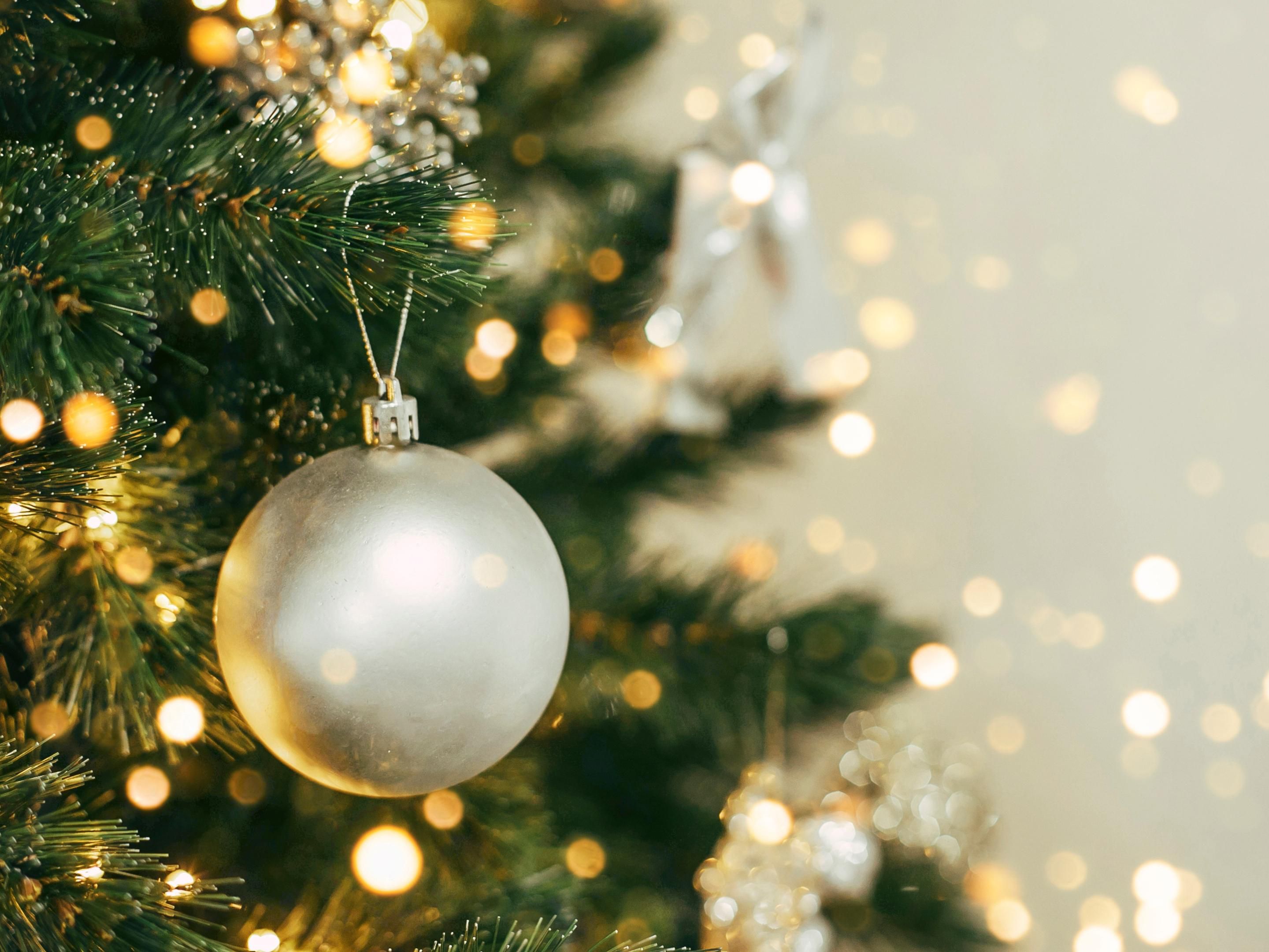 Staying at Hotel Indigo Brussels City for the holidays? Enjoy a local, seasonal and festive set-menu in our urban jungle, SERRA Restaurant, on Christmas Eve or New Year’s Eve. Our kitchen team has created a delicious menu to get you in the holiday spirit in a warm, cozy atmosphere.