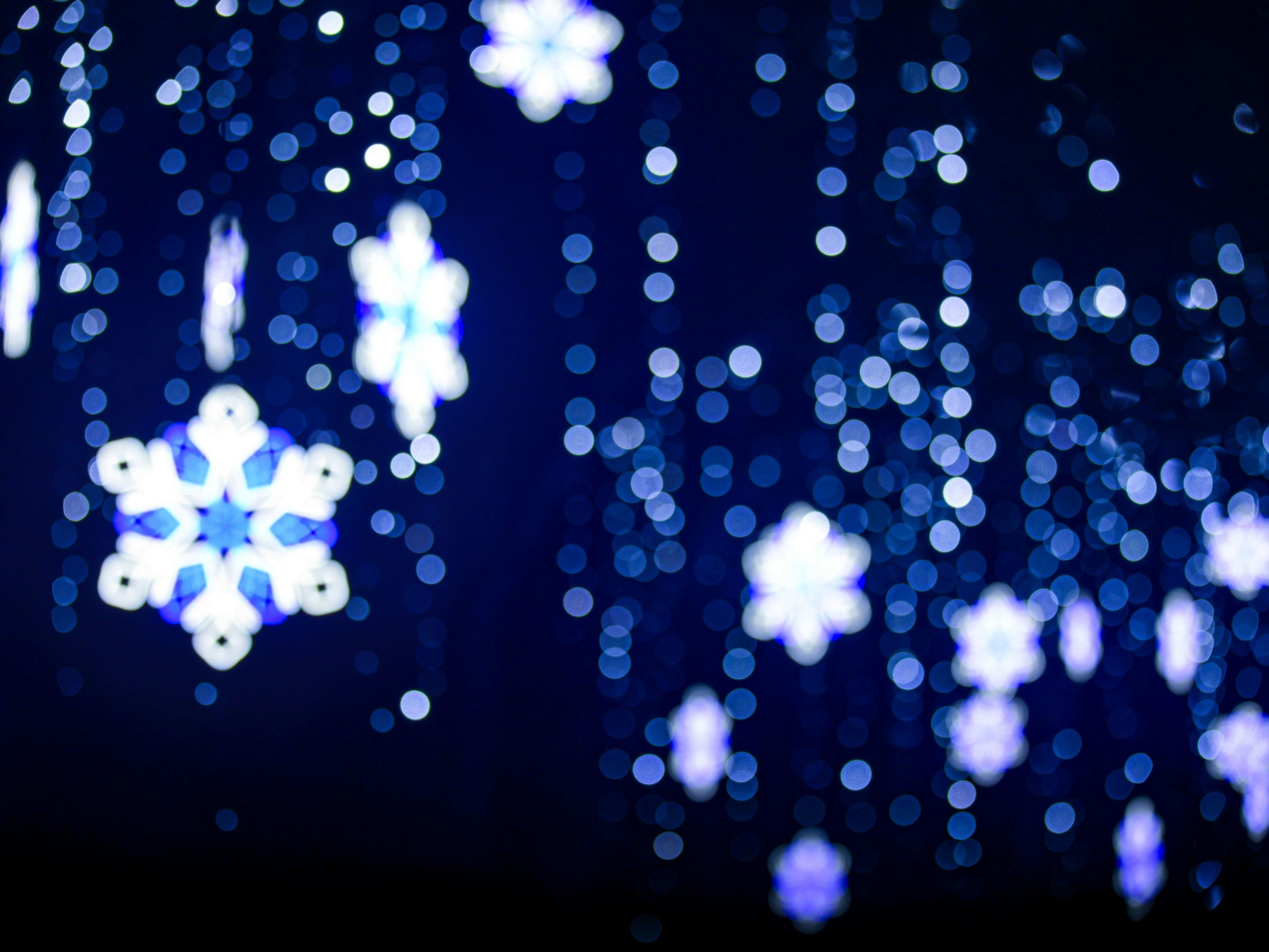 Celebrate the season at Del Mar Fairgrounds with millions of sparkling lights, eco-friendly Glice skating, photos with Santa, festive food and drinks, igloo fire pit reservations, and a holiday market. Coastal Christmas brings 10 days of family fun and holiday cheer by the sea.