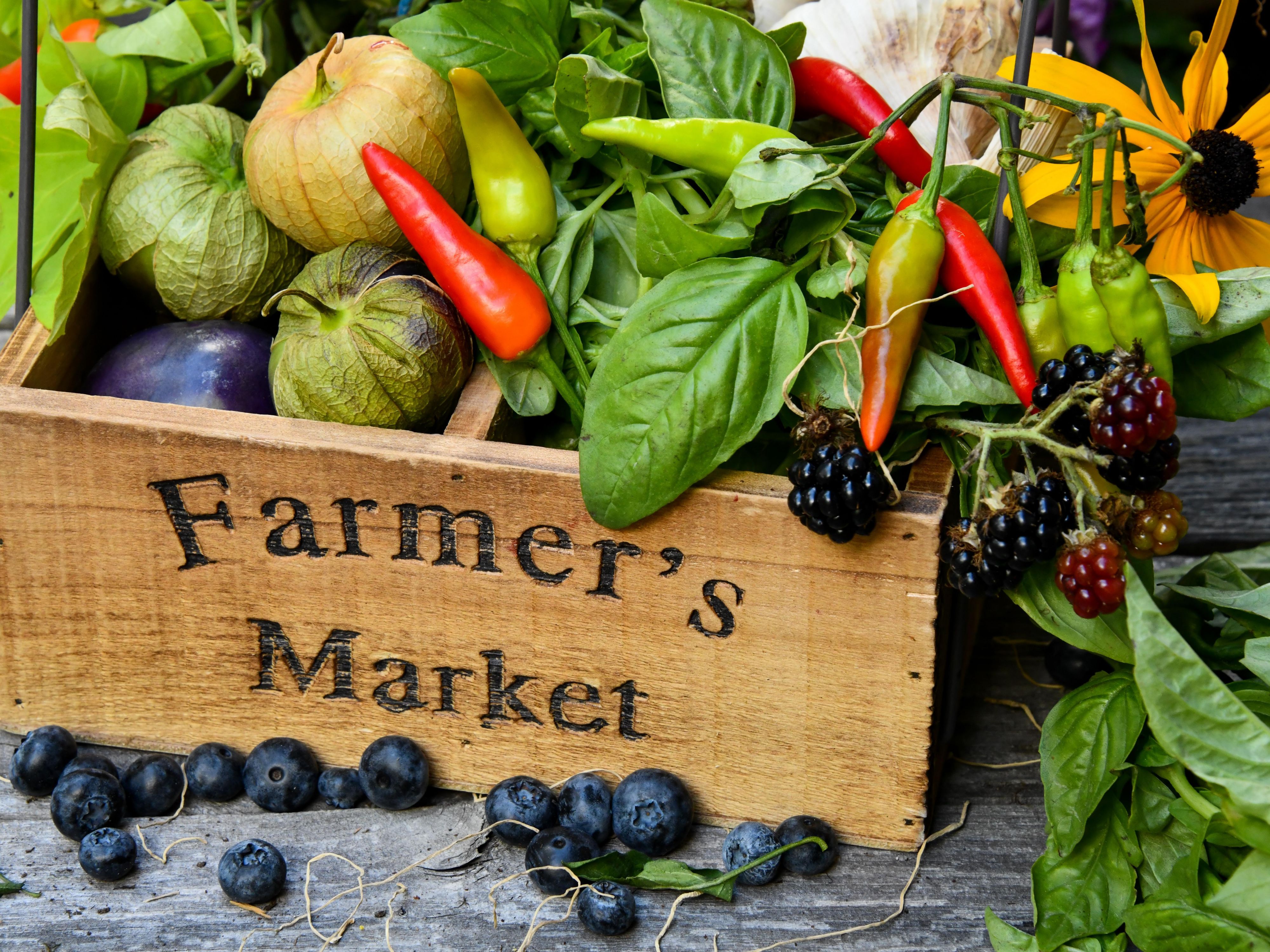 Experience the Del Mar Village Farmers Market every Saturday, 1–4 PM, at the Del Mar Civic Center. Discover fresh produce, artisanal goods, and local vibes in a stunning seaside setting. Make your weekends unforgettable with vibrant flavors, unique finds, and the laid-back charm of Del Mar!