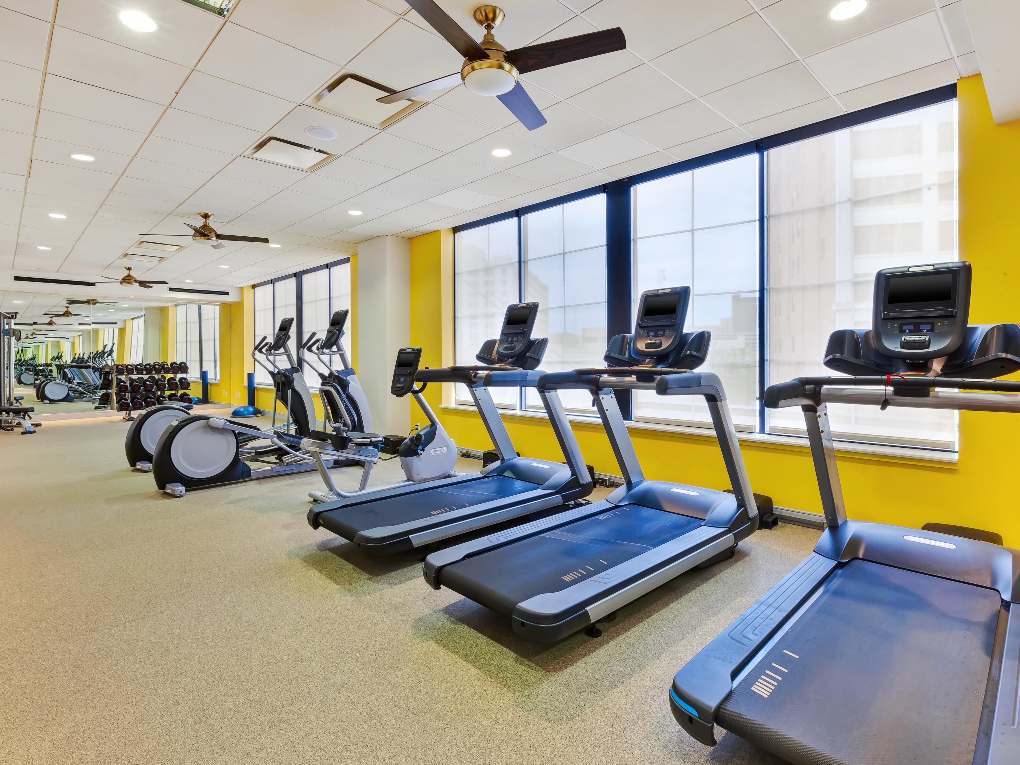 Power your stay with a seamless experience at our pet-friendly Detroit hotel. Indulge in the diverse flavors of The Trolley Room Bar & Grill and get energized in our fully equipped Fitness Center. Take advantage of convenient access to our flexible meeting spaces, on-site parking, and free Wi-Fi for a seamless and stress-free stay in Detroit.