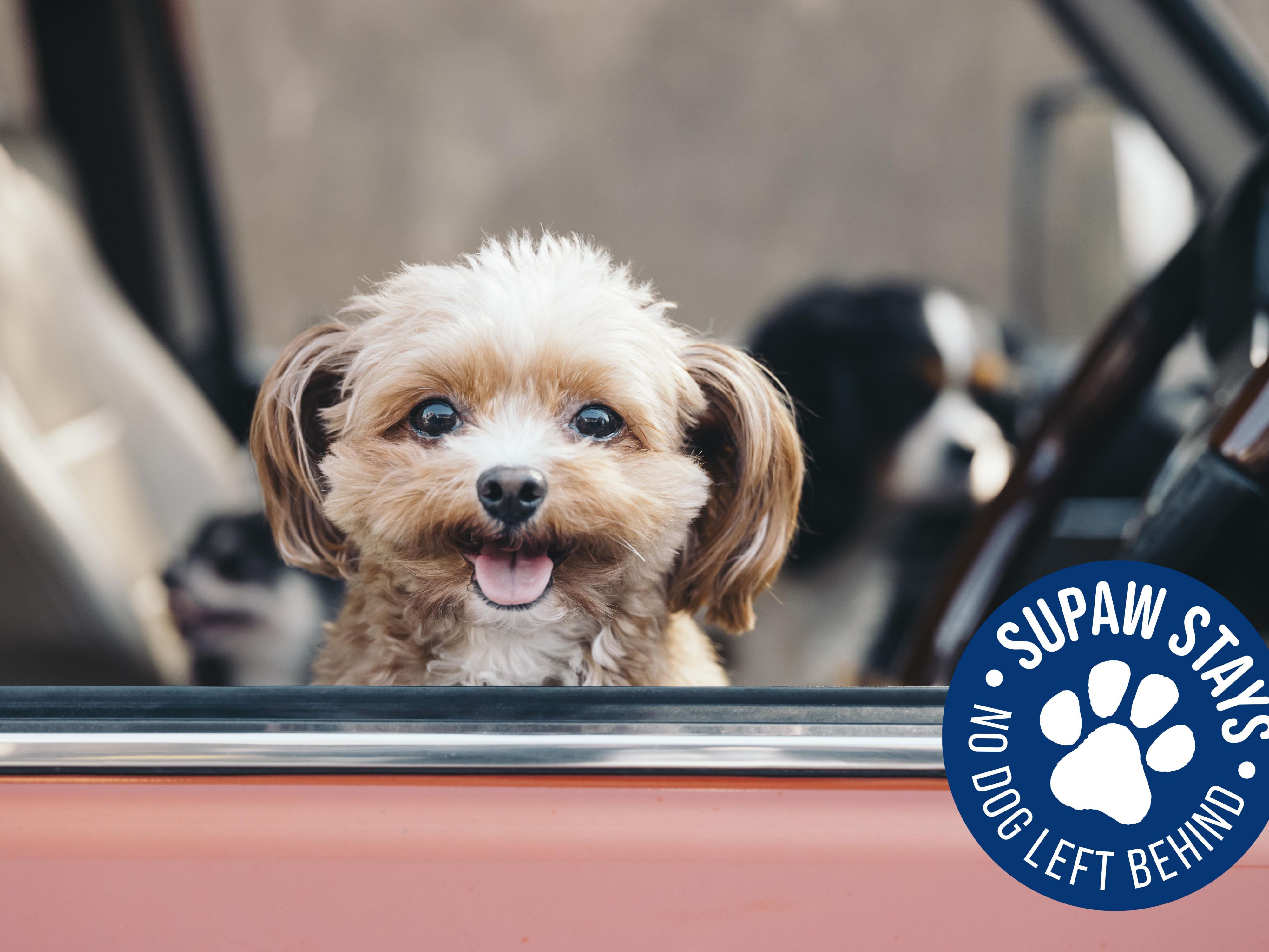 Bring your four-legged friend for a SuPaw Stay to our dog-friendly hotel in Edinburgh. For just an additional £15 per night which includes a pouch of SeaSnax treats. 

We’ve partnered up with Winston’s Doggy Day Care in Portobello so you can enjoy exploring whilst your dog plays. Bookings to be made direct via them. 

Discover more below.