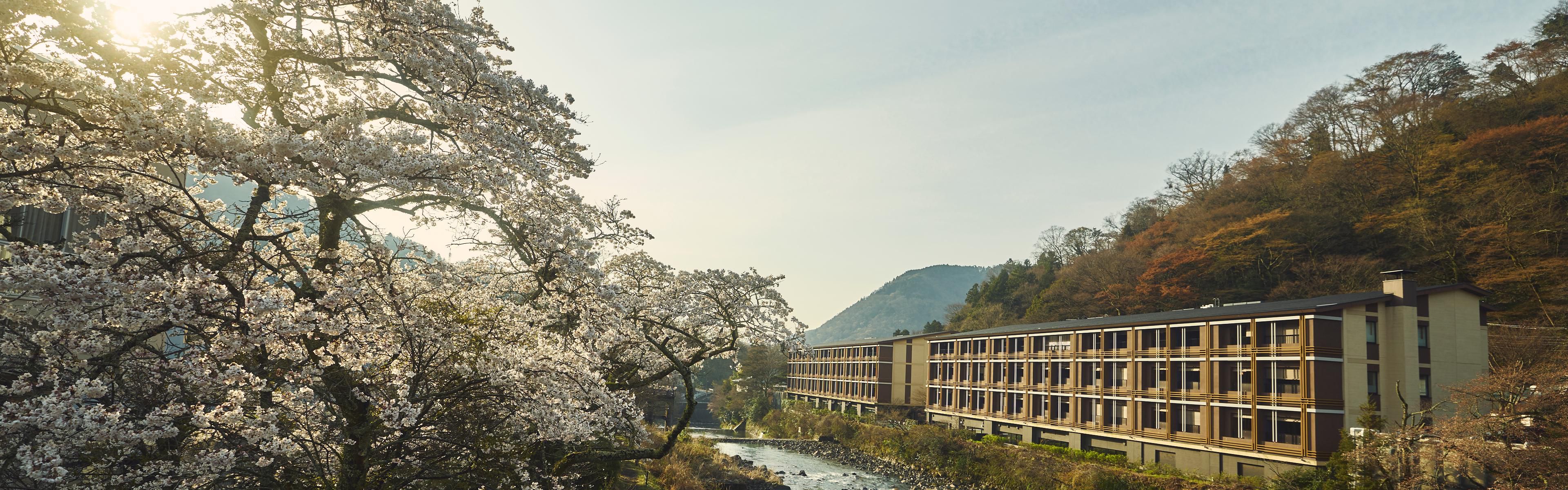 $hotelInfo.mediaDetails.welcomePhotos.primaryPhoto.caption}