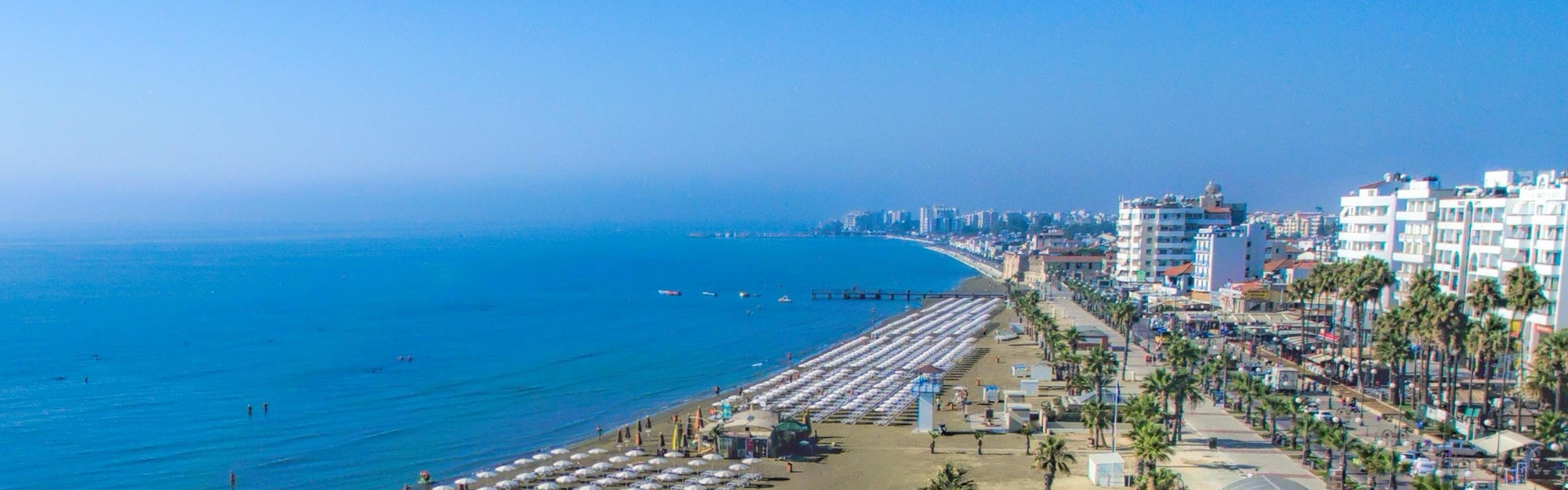 Enjoy Finikoudes Beach and Palm-lined Promenade 