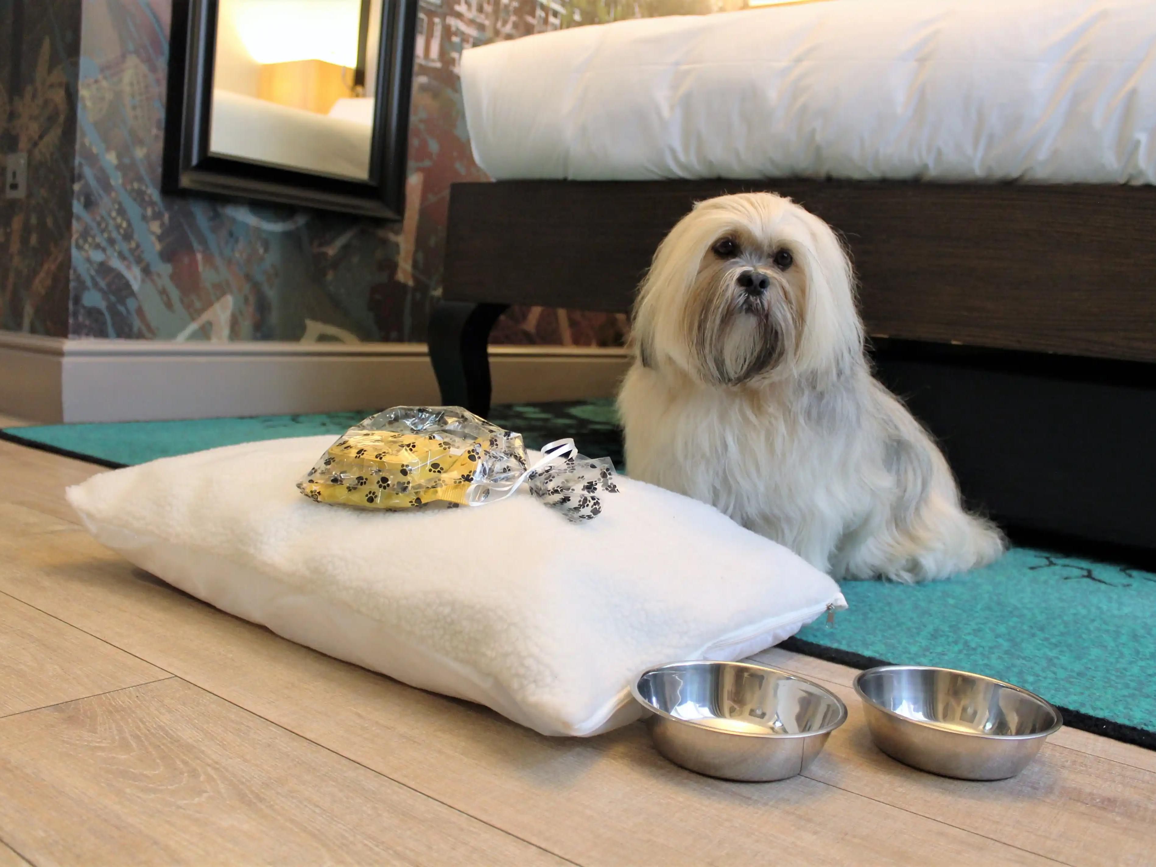 At Hotel Indigo London Kensington, we warmly welcome pets as part of your stay! Our pet-friendly policy ensures your furry companions feel as comfortable as you do. With designated pet areas and thoughtful amenities. Please take a look at our pet policy for full details, and let us know in advance if you’re bringing a pet.