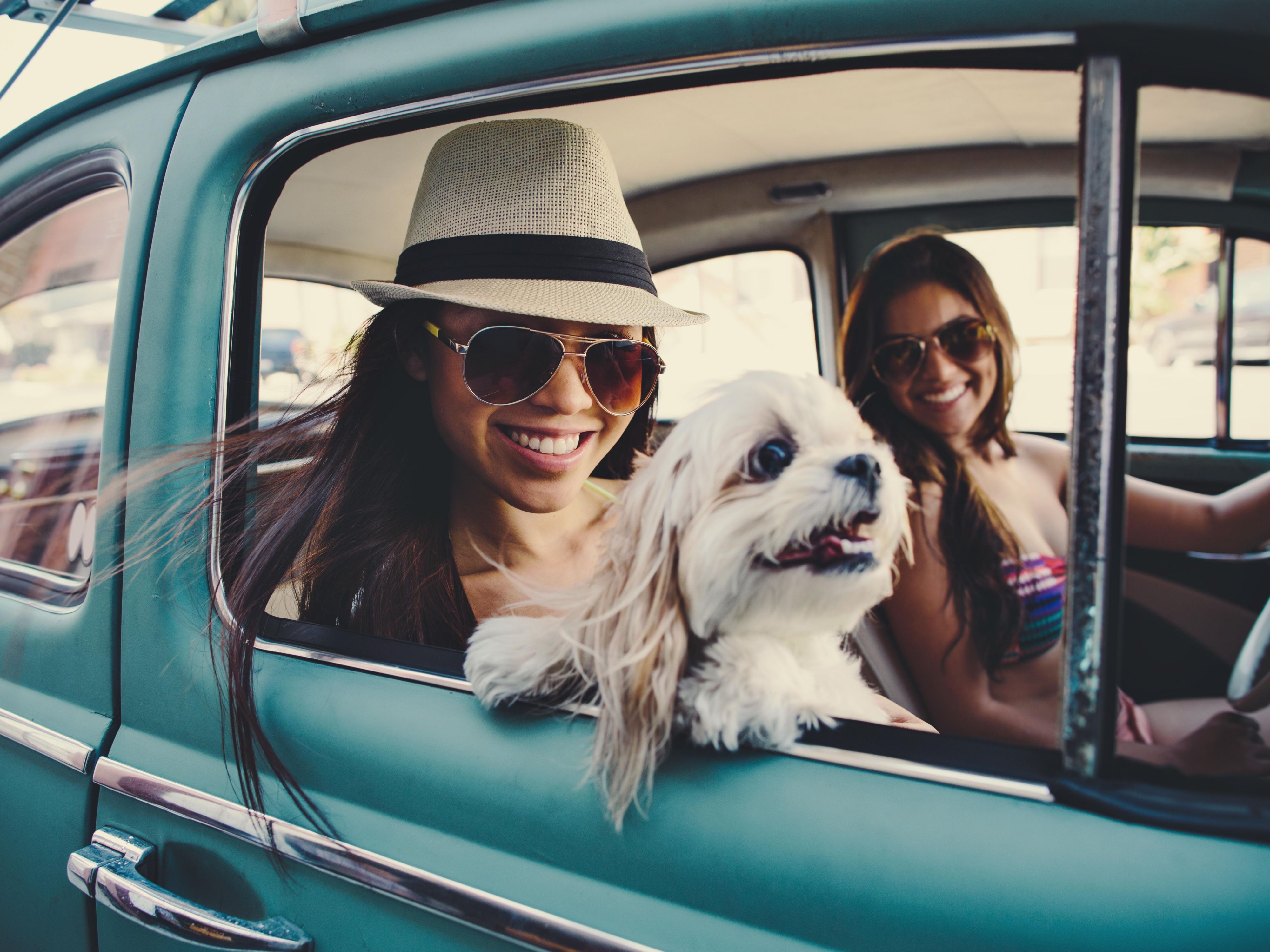Bring your dog along on your South Florida vacation or business trip to our pet-friendly hotel in the Brickell neighborhood of Miami. We welcome dogs up to 40 pounds in rooms & suites with plenty of space to feel at home. While pets must be crated while you're away, you’ll find parks & paths for walks & fresh air just steps away. Deposit required.