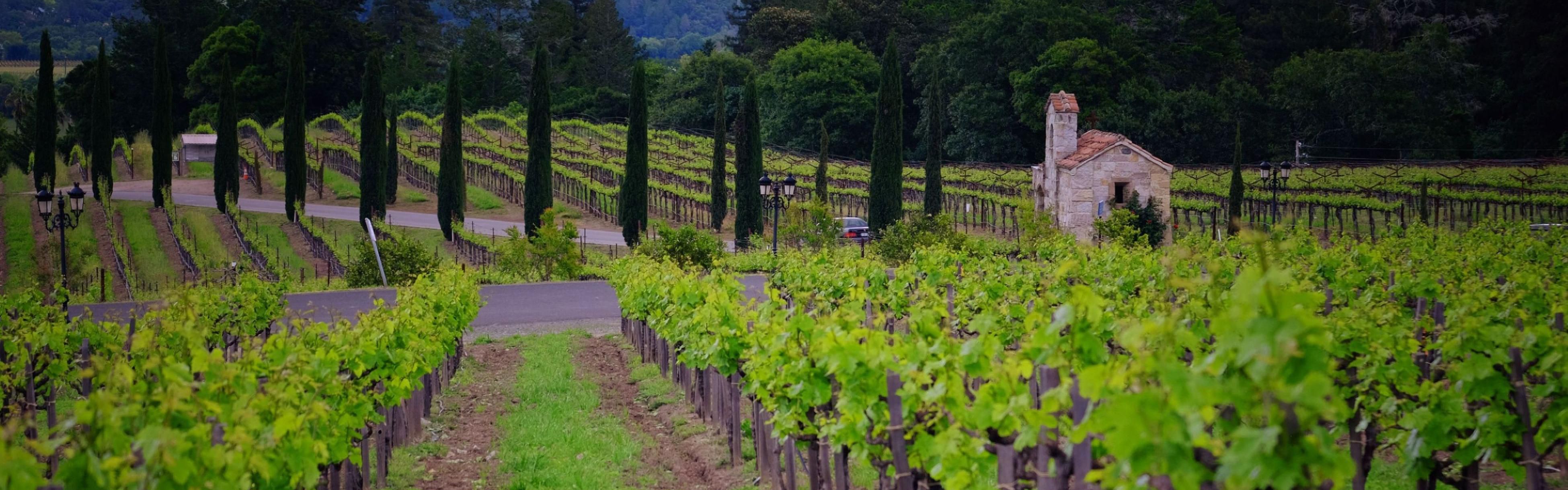 Take in the beautiful scenery of Napa's renowned wineries.