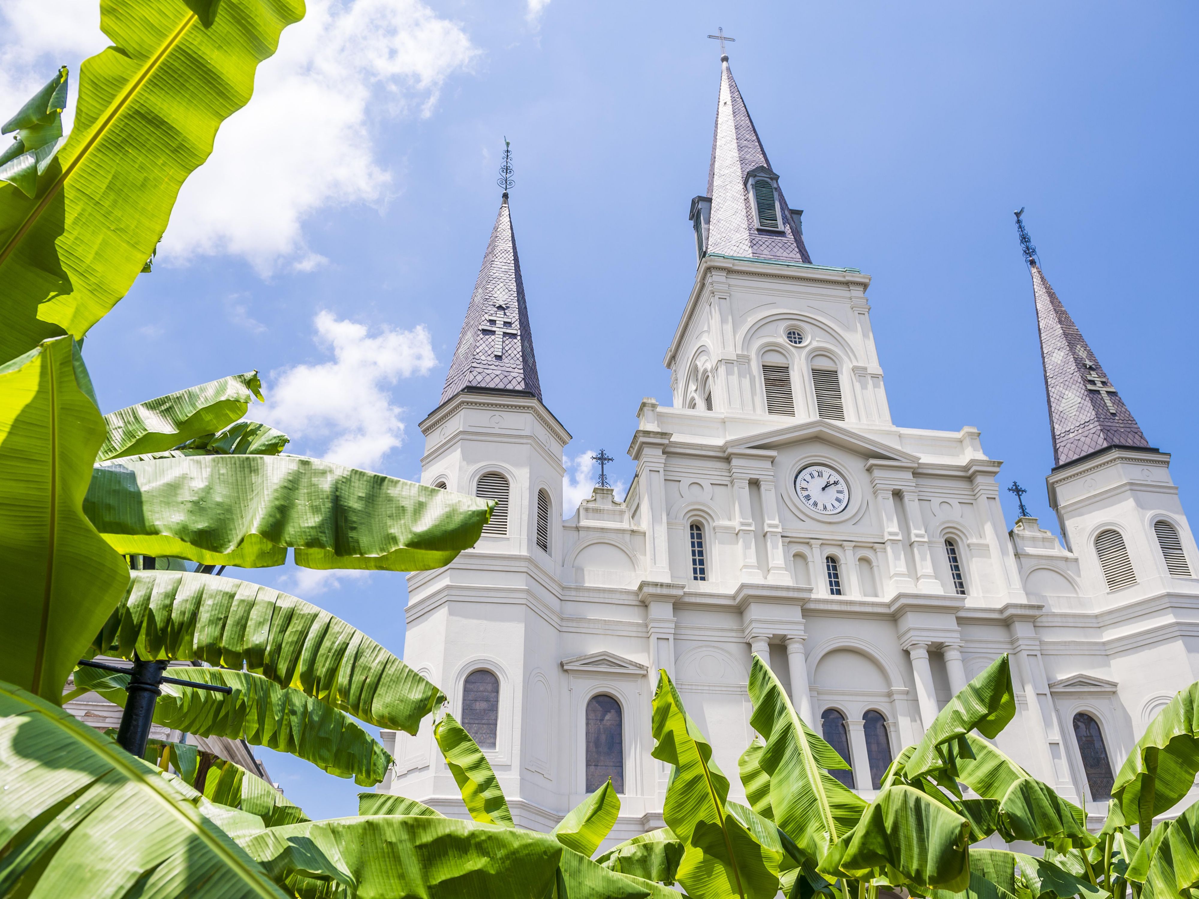 Whether you're here to embrace the French Quarter's charm, attend festive festivals, or on a business trip, our hotel in the vibrant Central Business District provides an ideal oasis for work and play. Tucked within this bustling district, we're only moments away from the renowned French Quarter, guaranteeing a remarkable experience.