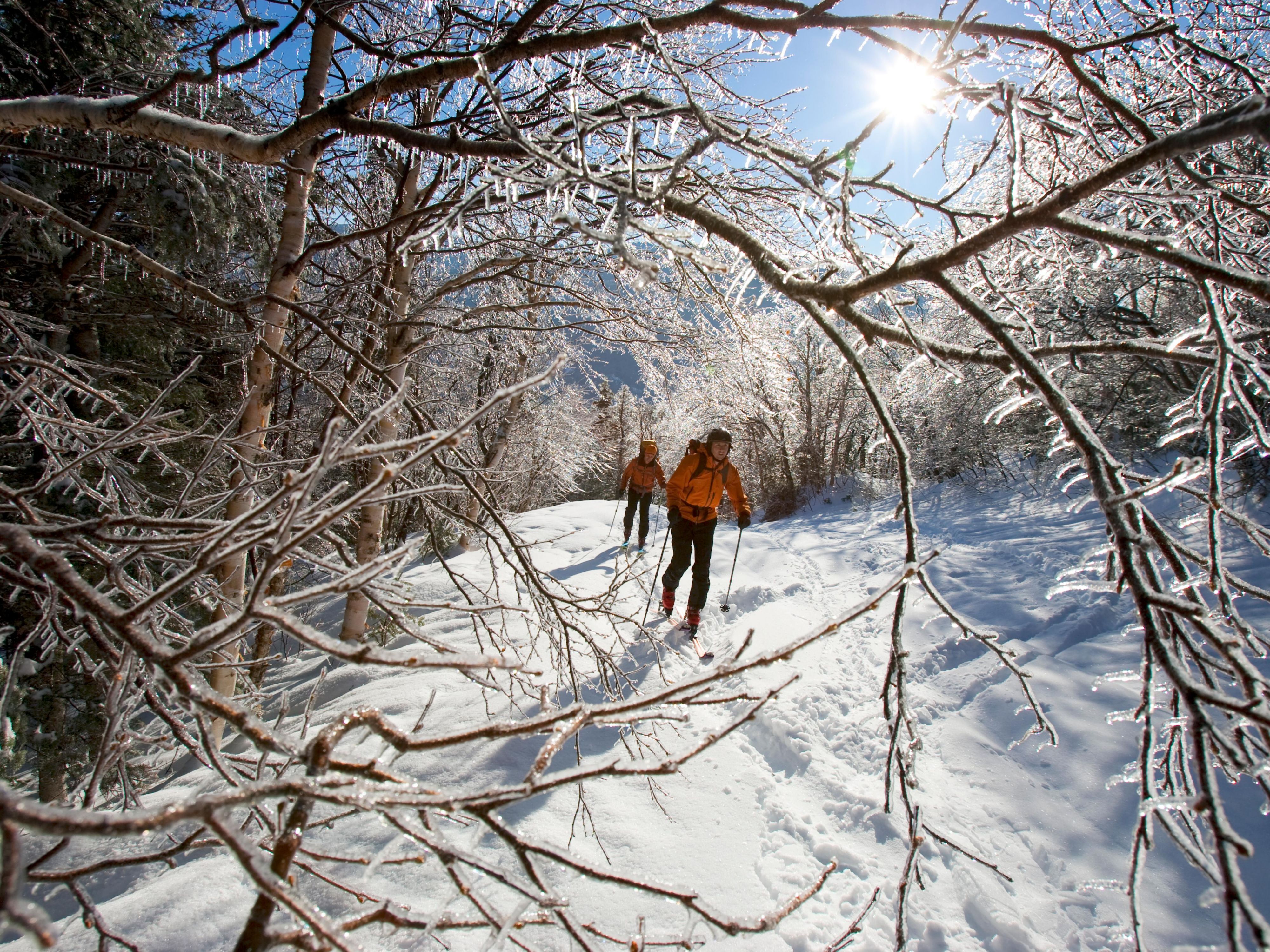 Discover Whitaker Woods, located close to the hotel and ideal for hiking, biking, or cross-country skiing. This North Conway trail network offers miles of scenic paths through forested landscapes, perfect for outdoor enthusiasts. Enjoy easy access to nature just steps from downtown.