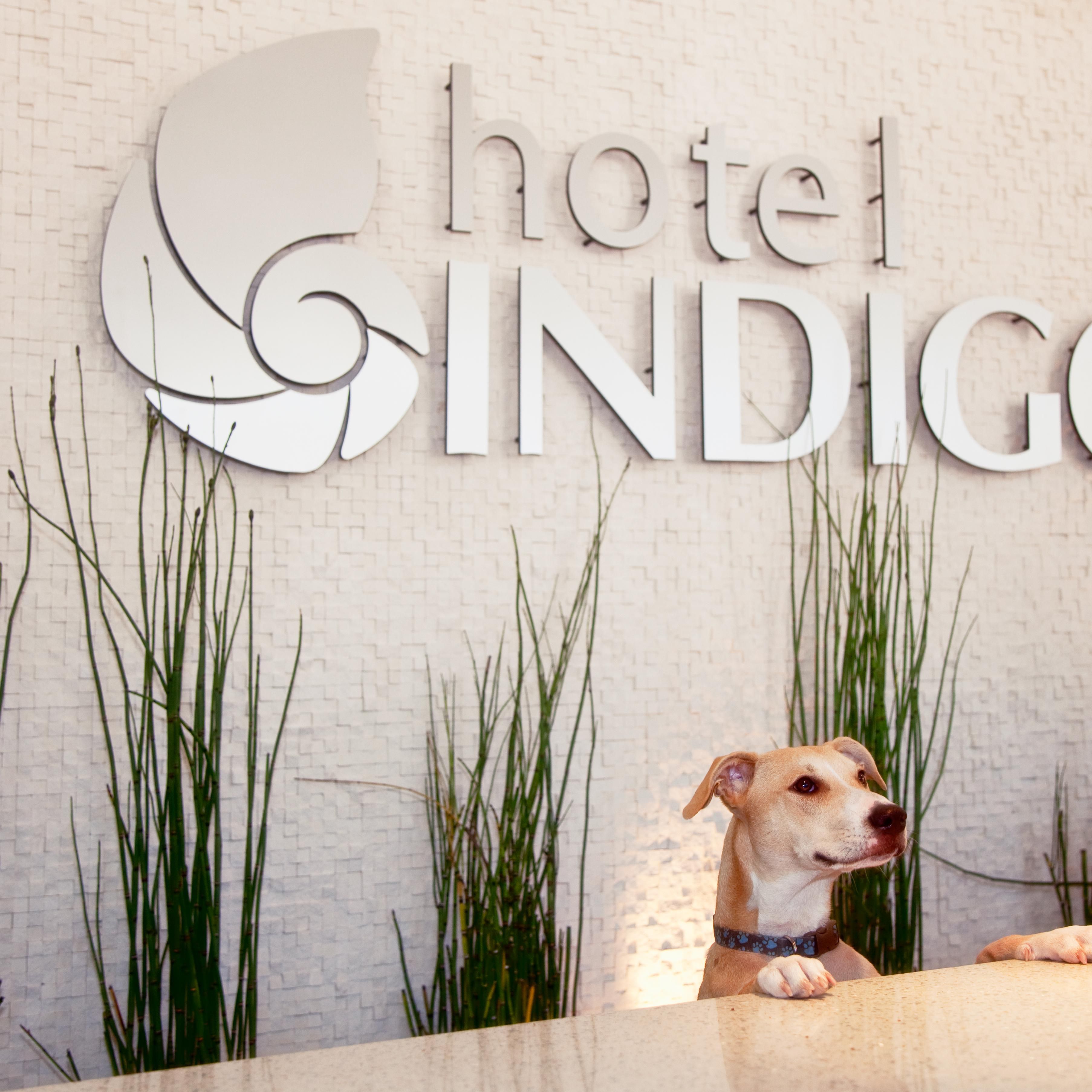 Hotel Indigo sketch exterior