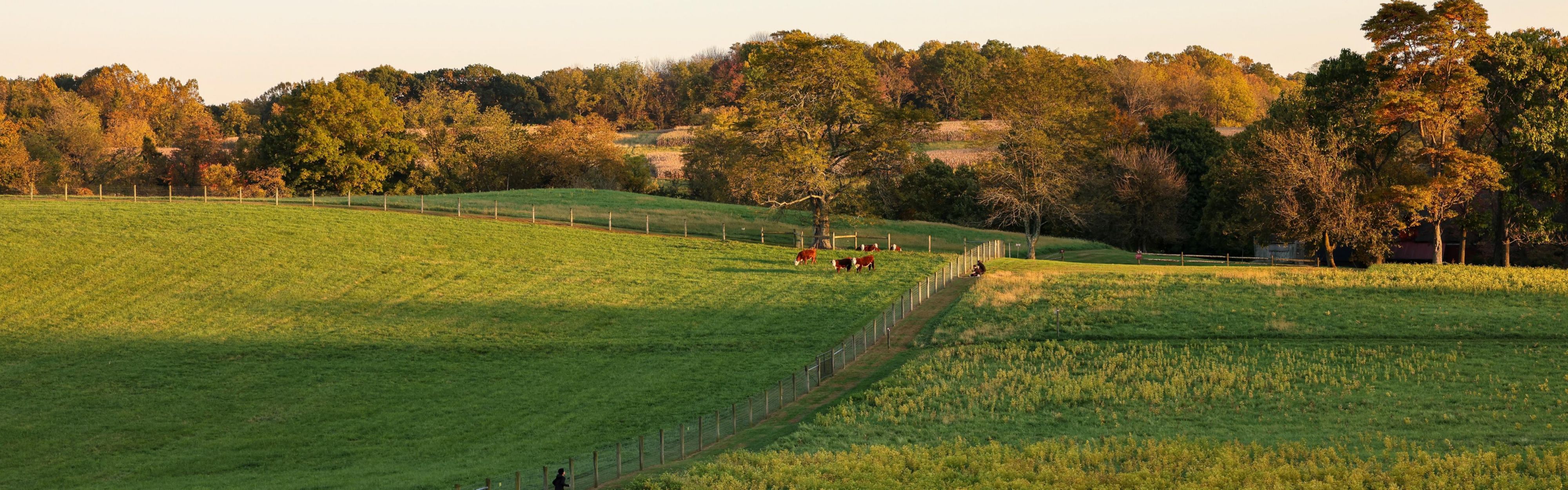 Explore the rolling hills at Stroud Preserve in West Chester.