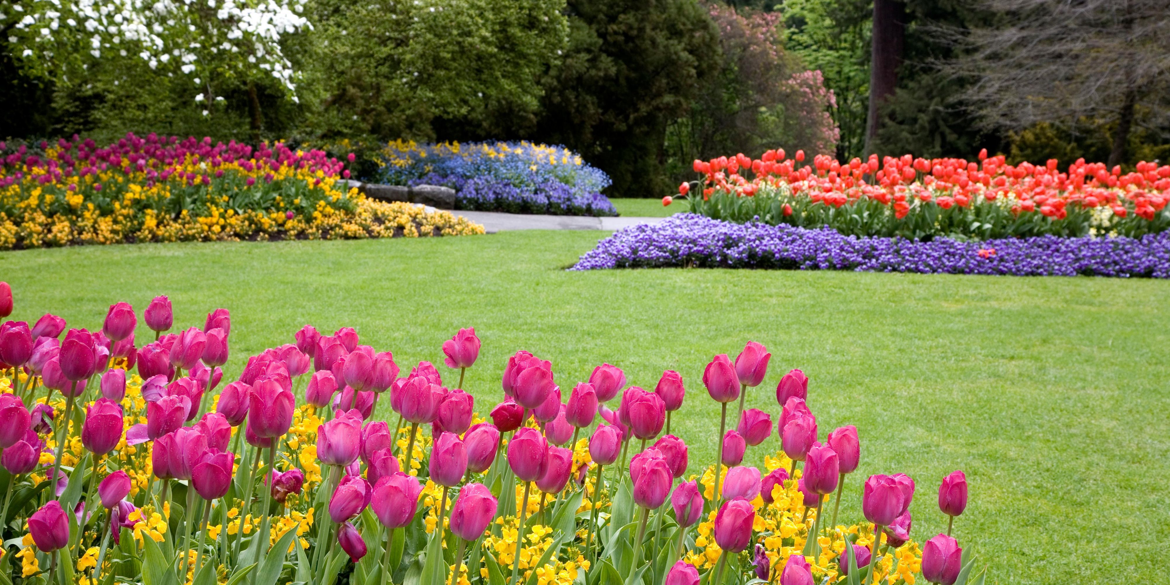 Take a walk through Longwood Gardens.