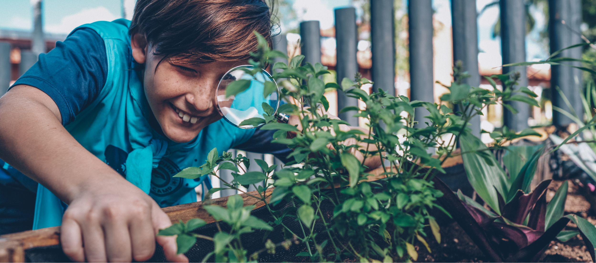 在 Star Camp 明星夏令营，一位小男孩正用放大镜仔细观察一株当地植物。