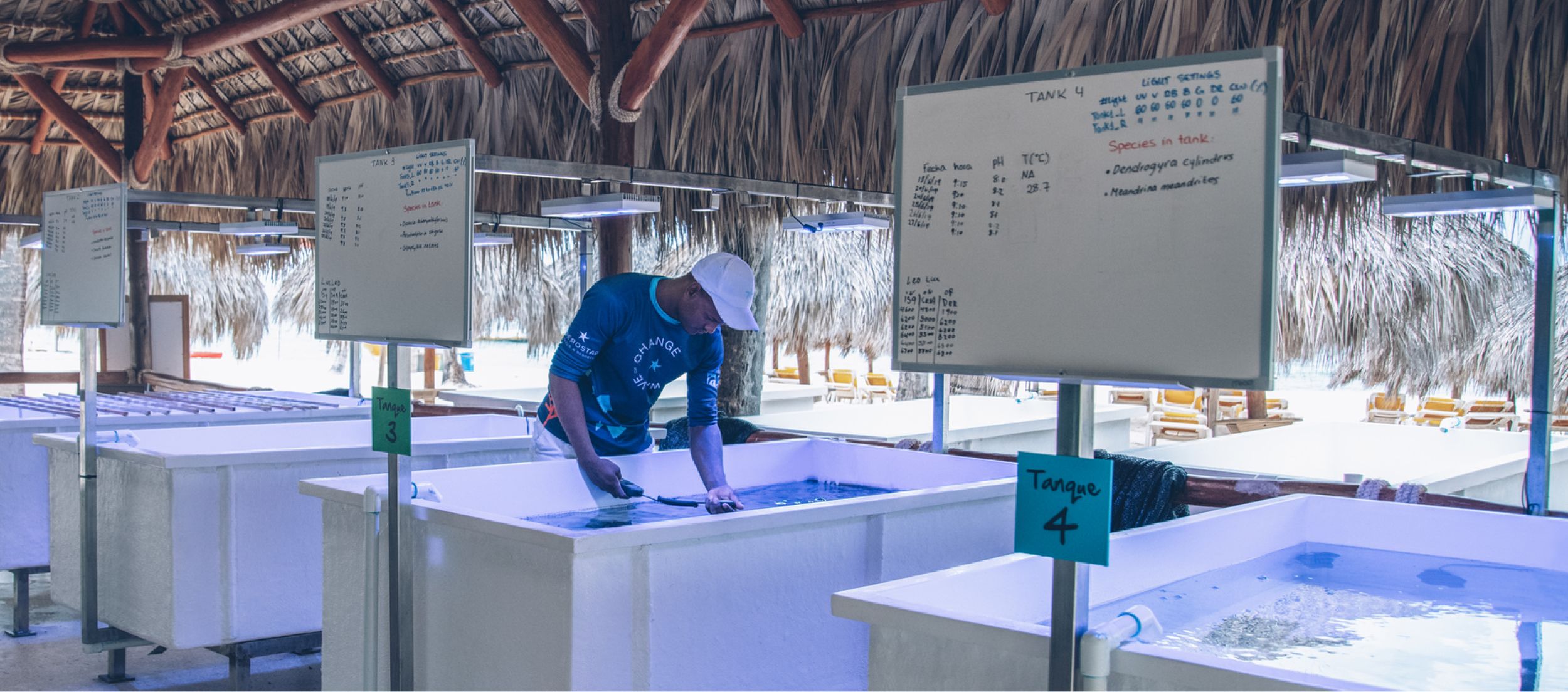 Certified in sustainable fishing