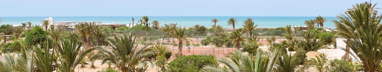 Beachside tennis courts among palm trees