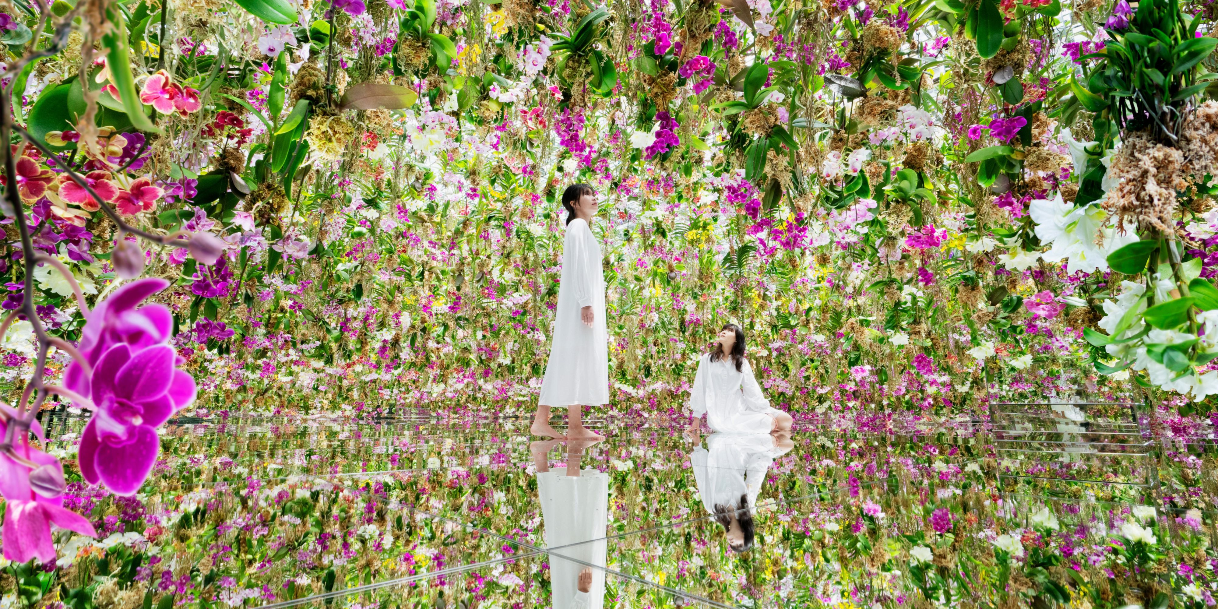 TeamLab SuperNature is an extremely complex, three-dimensional interactive space with varying elevations that spans 5,000 square meters and is comprised of enormous 8-meter-tall works by art collective teamLab. 

Immerse the body in a complex, three-dimensional world, create a world with others, and become one with that world