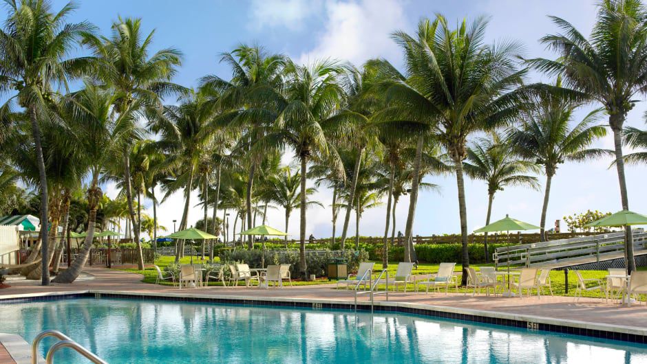 Image of a pool and palm trees
