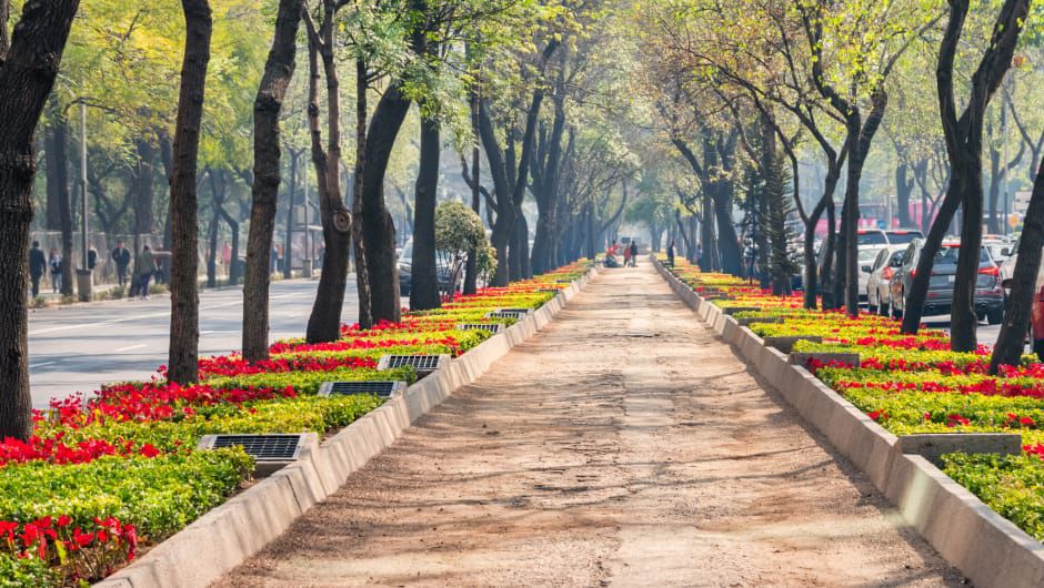 Outdoor flower lined walkway on a sunny day