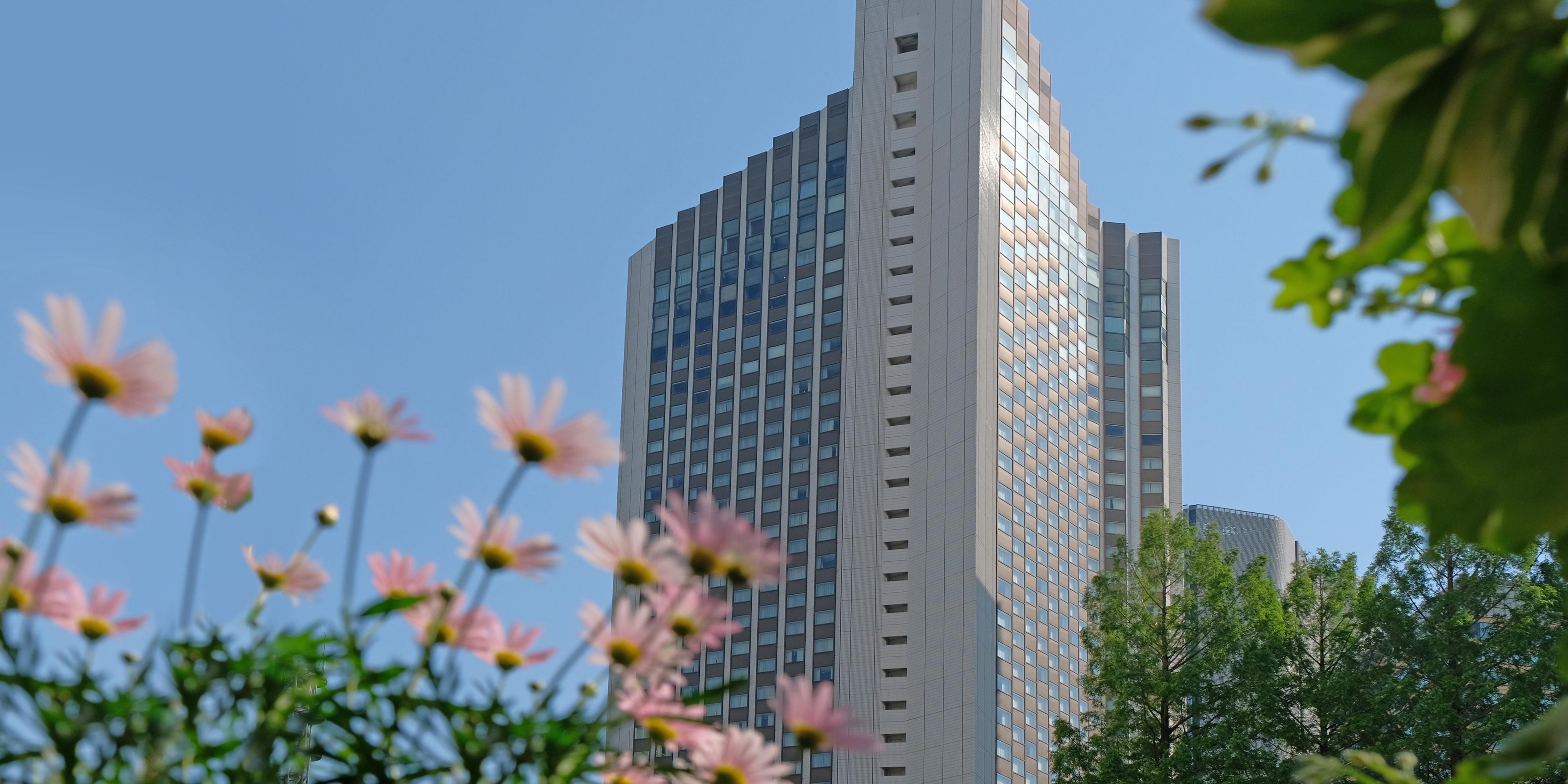 Exterior Feature