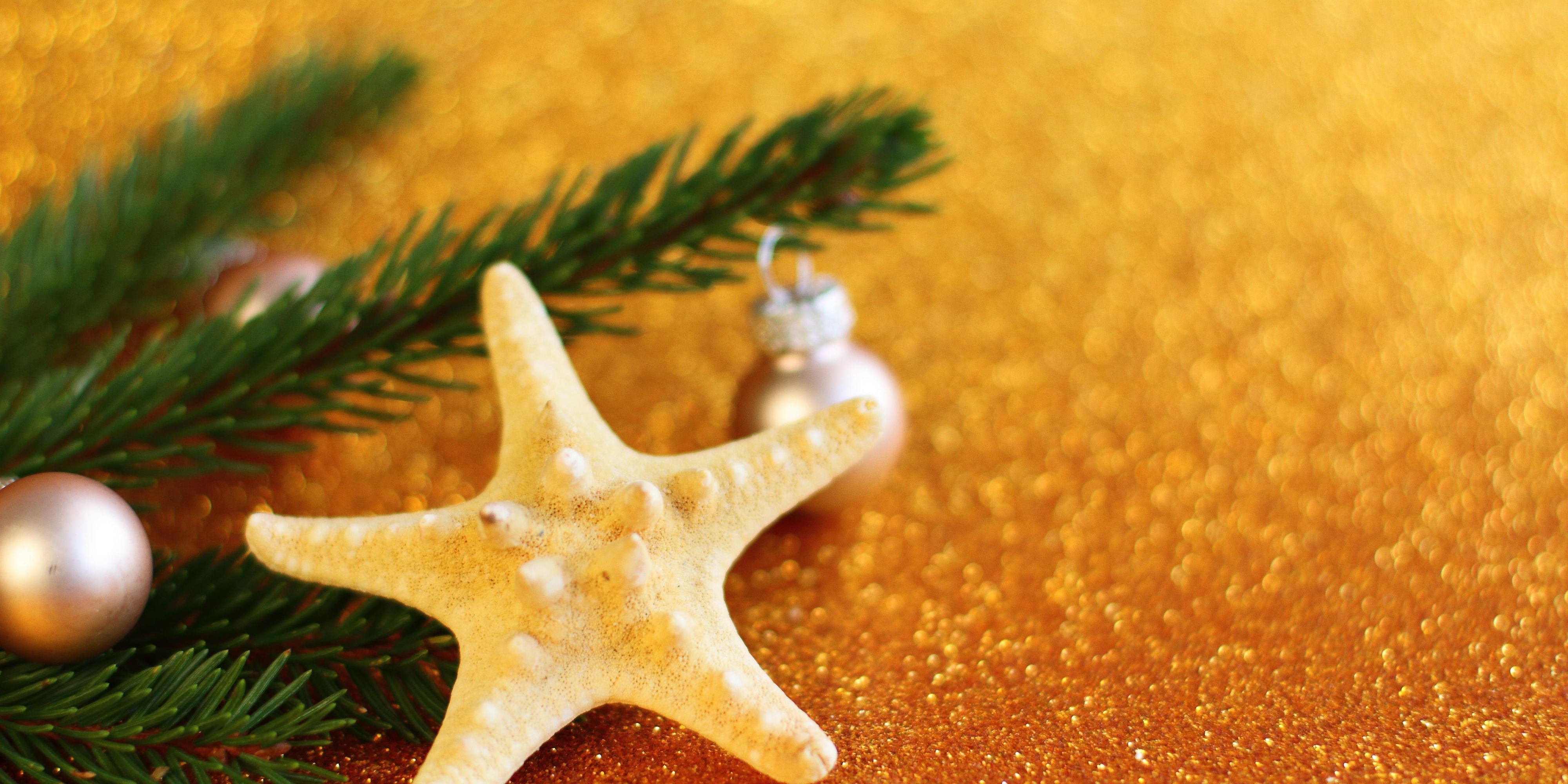 Host unforgettable corporate celebrations with our beachfront events and meetings in Cancun at Presidente InterContinental. Cheers to your success in an elegant and tropical setting.