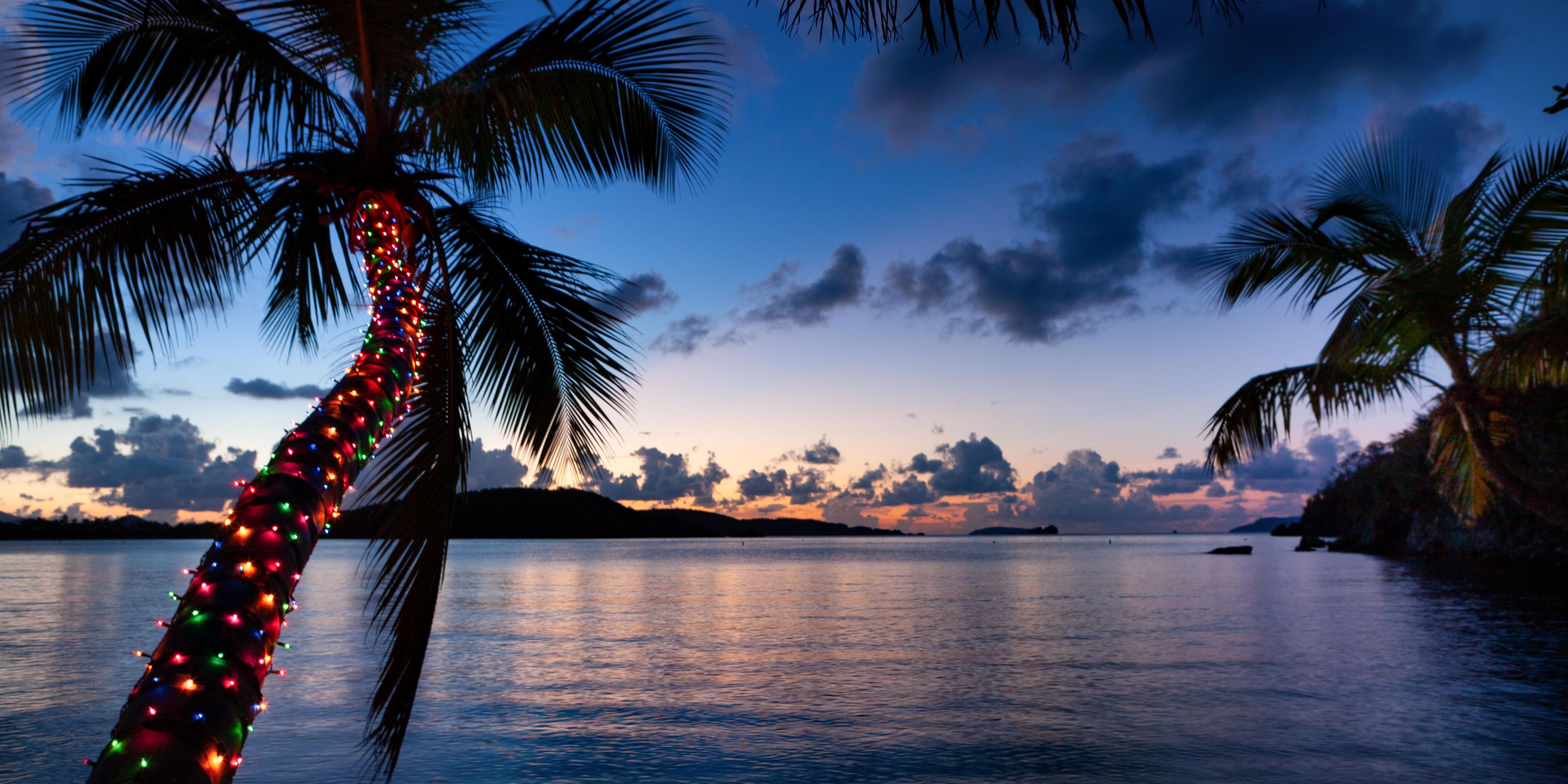 Stay longer and save at the best hotel in Cozumel! Book 5 nights or more and enjoy an exclusive discount. Experience luxury, stunning ocean views, and world-class service. Reserve your stay today and make the most of your Cozumel getaway!