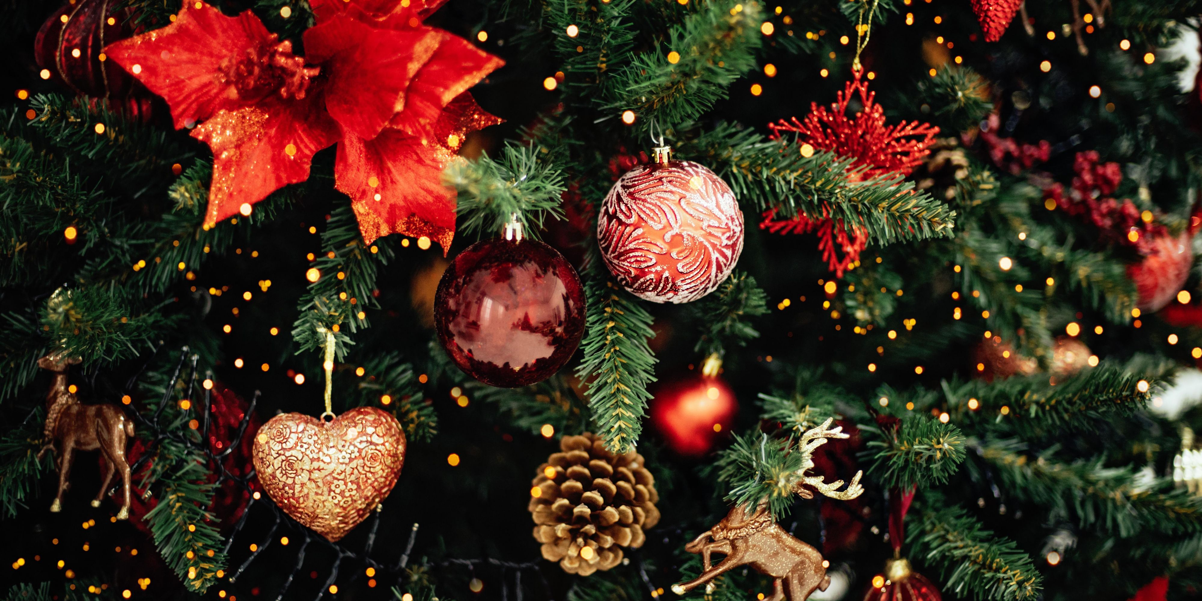 Celebrate the holidays in a unique atmosphere. With us, you will find the best hospitality and excellent service that will make every detail filled with joy. We invite you to stay with us and experience a memorable time during this festive season. We wish you a wonderful New Year!